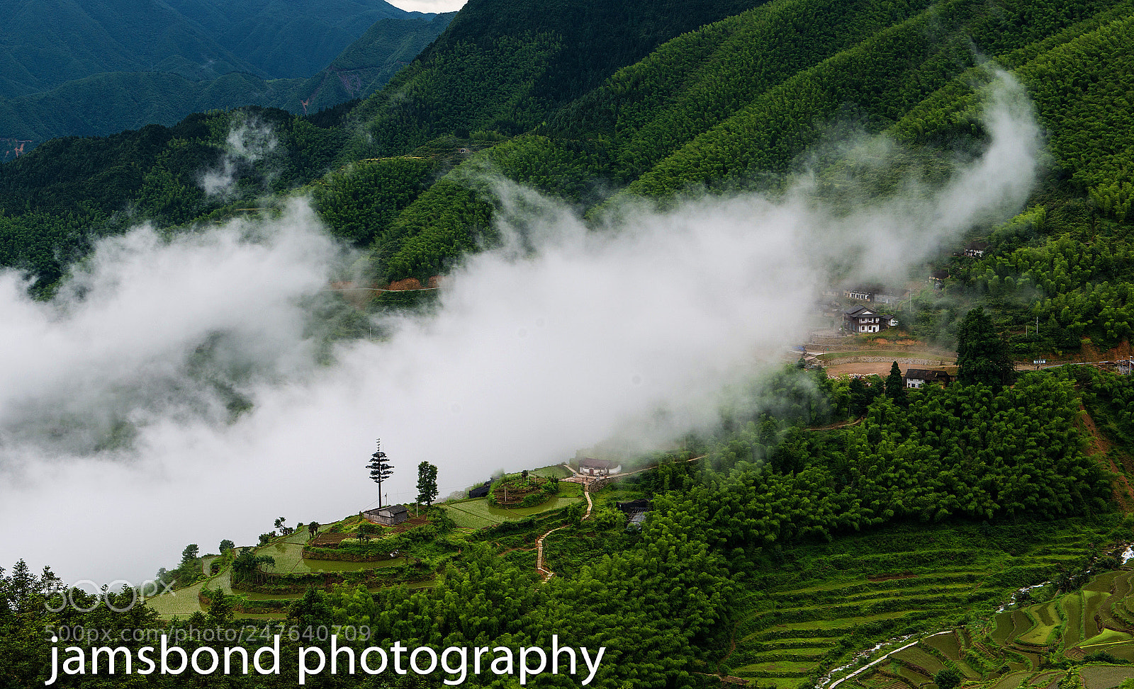 Nikon D800 sample photo. Early morning in the photography