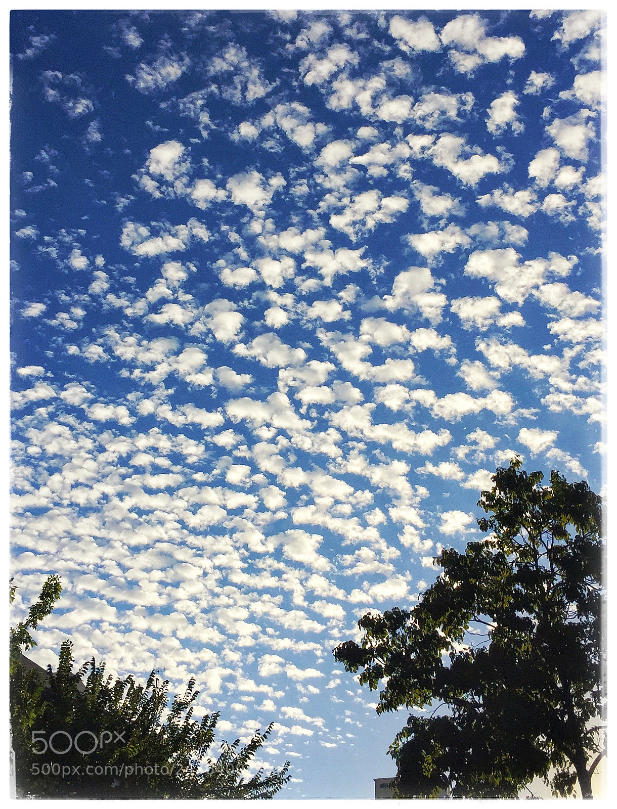 Apple iPhone 6 sample photo. Cumulus photography