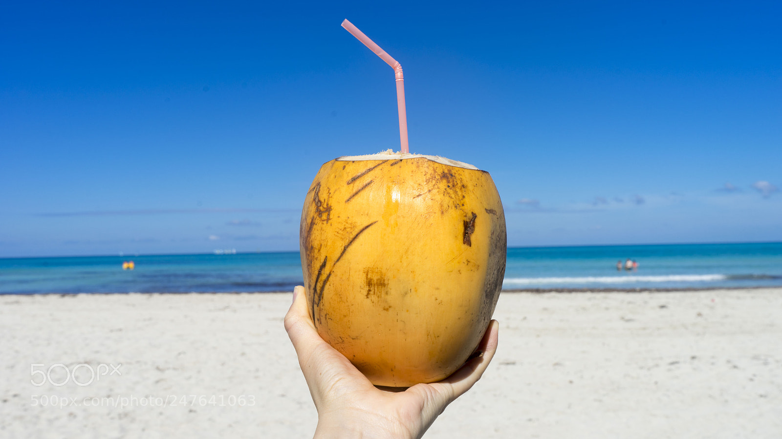 Sony a7 II sample photo. Coconut photography