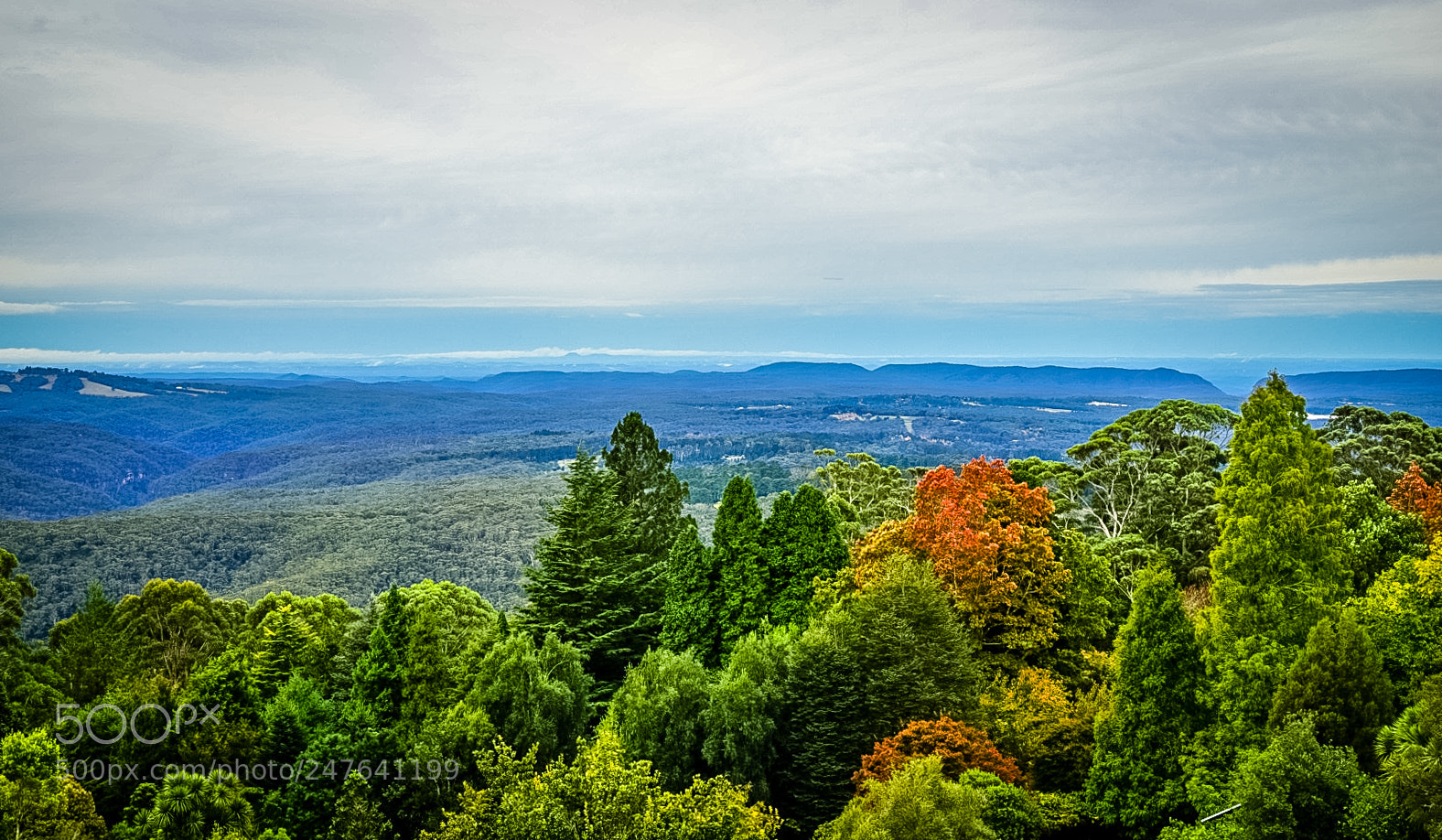 Sony a7 sample photo. Sydney blue mountain national photography