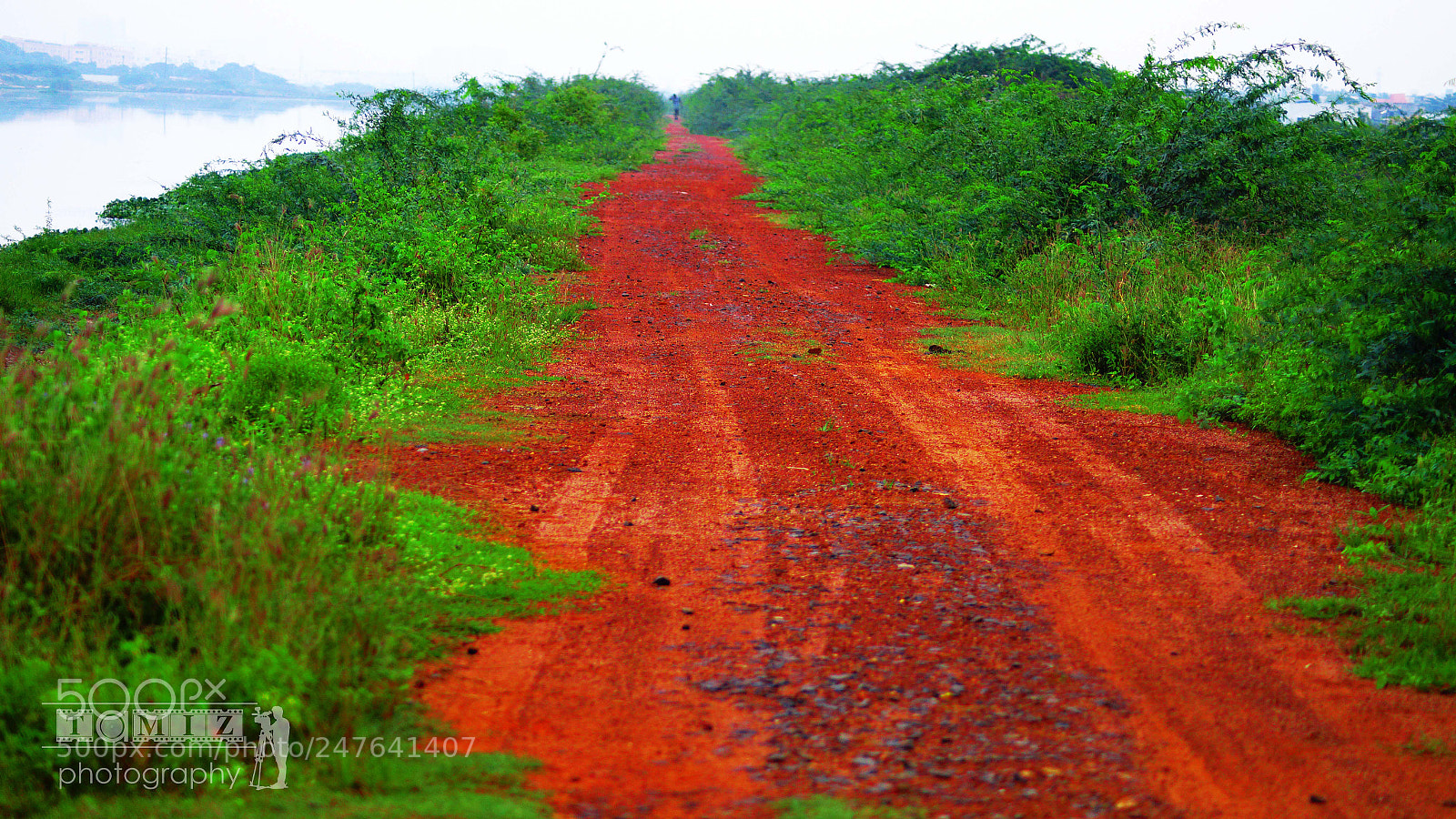 Sony SLT-A58 sample photo. Red road photography