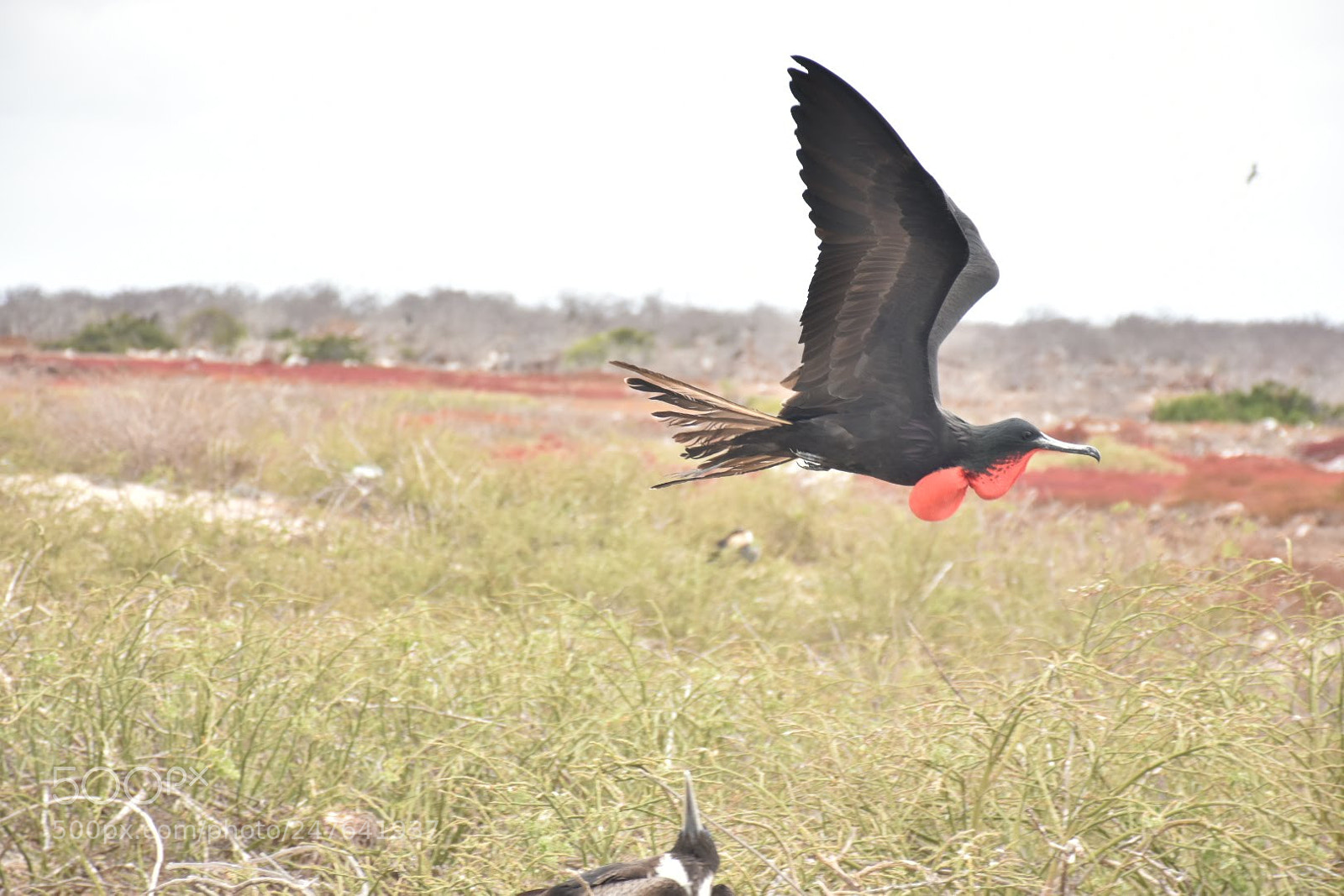 Nikon D7200 sample photo. Responsibility comes with hardship. photography