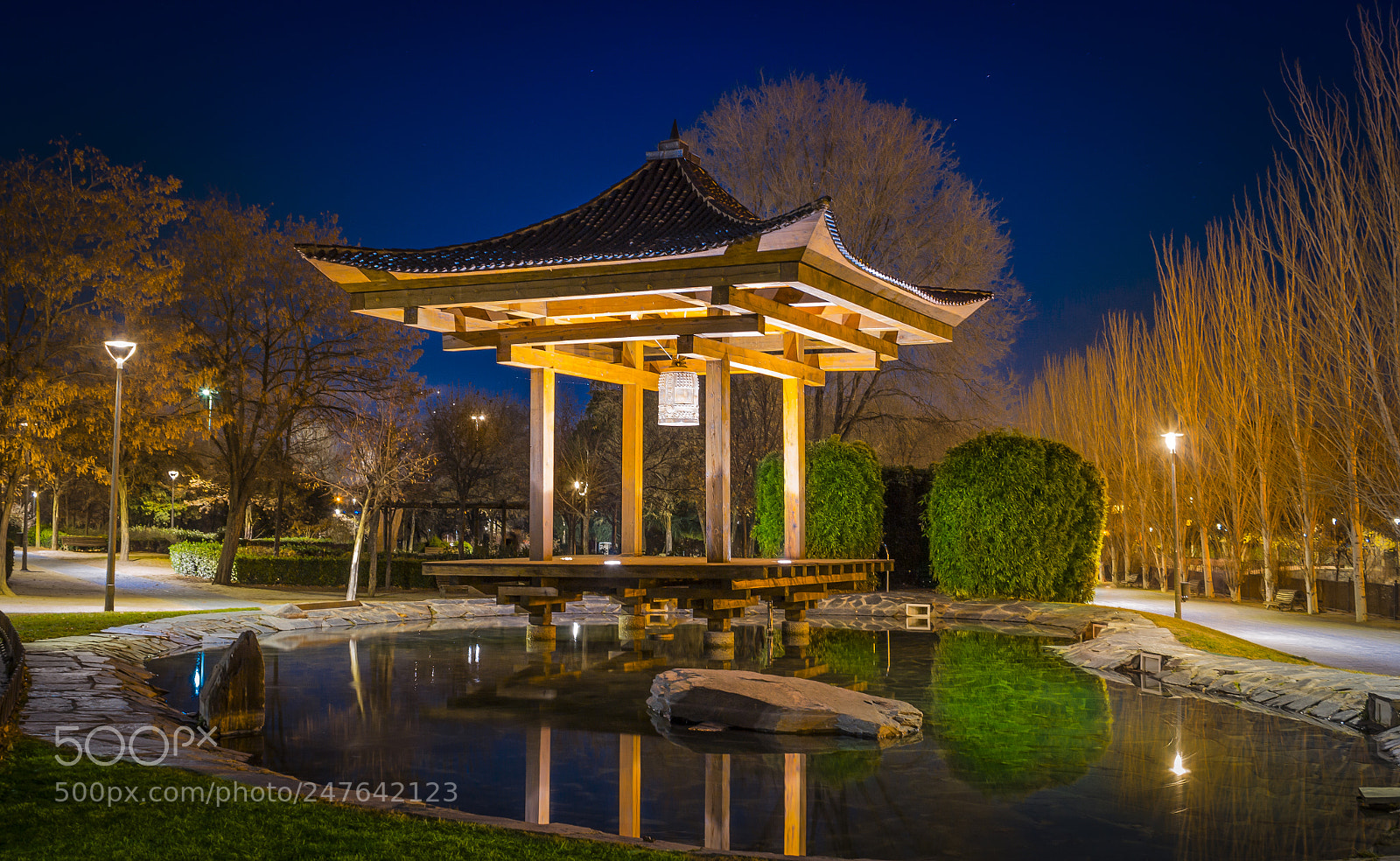 Canon EOS 600D (Rebel EOS T3i / EOS Kiss X5) sample photo. Pagoda photography