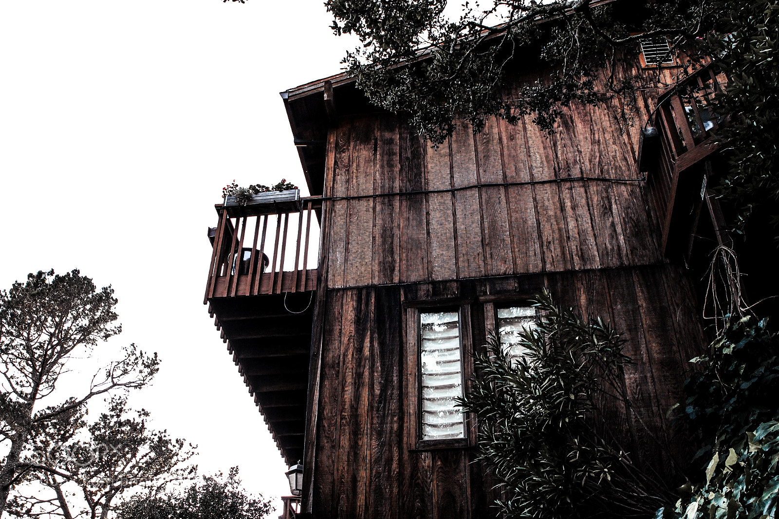 Canon EOS 600D (Rebel EOS T3i / EOS Kiss X5) sample photo. House in the woods photography