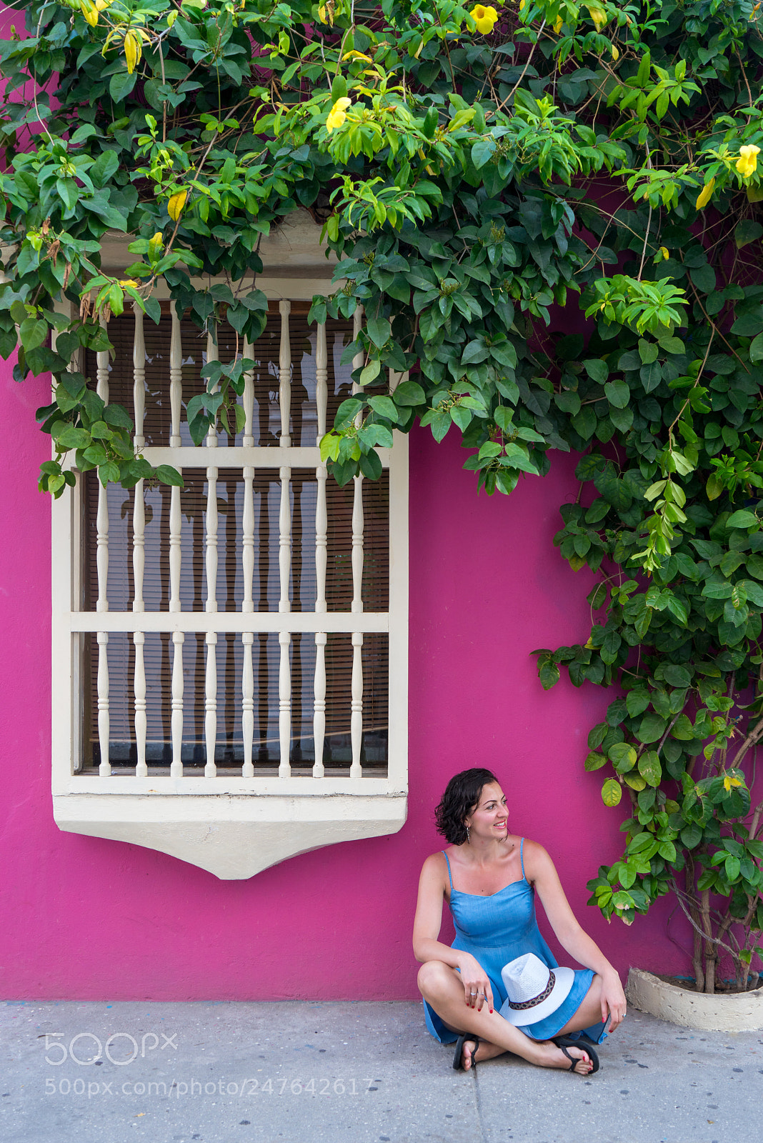 Sony a7R sample photo. Color like no other photography