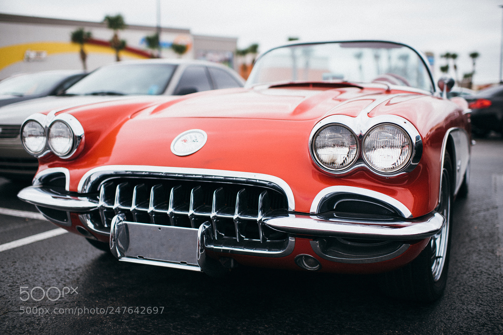 Nikon D810 sample photo. Classic corvette photography