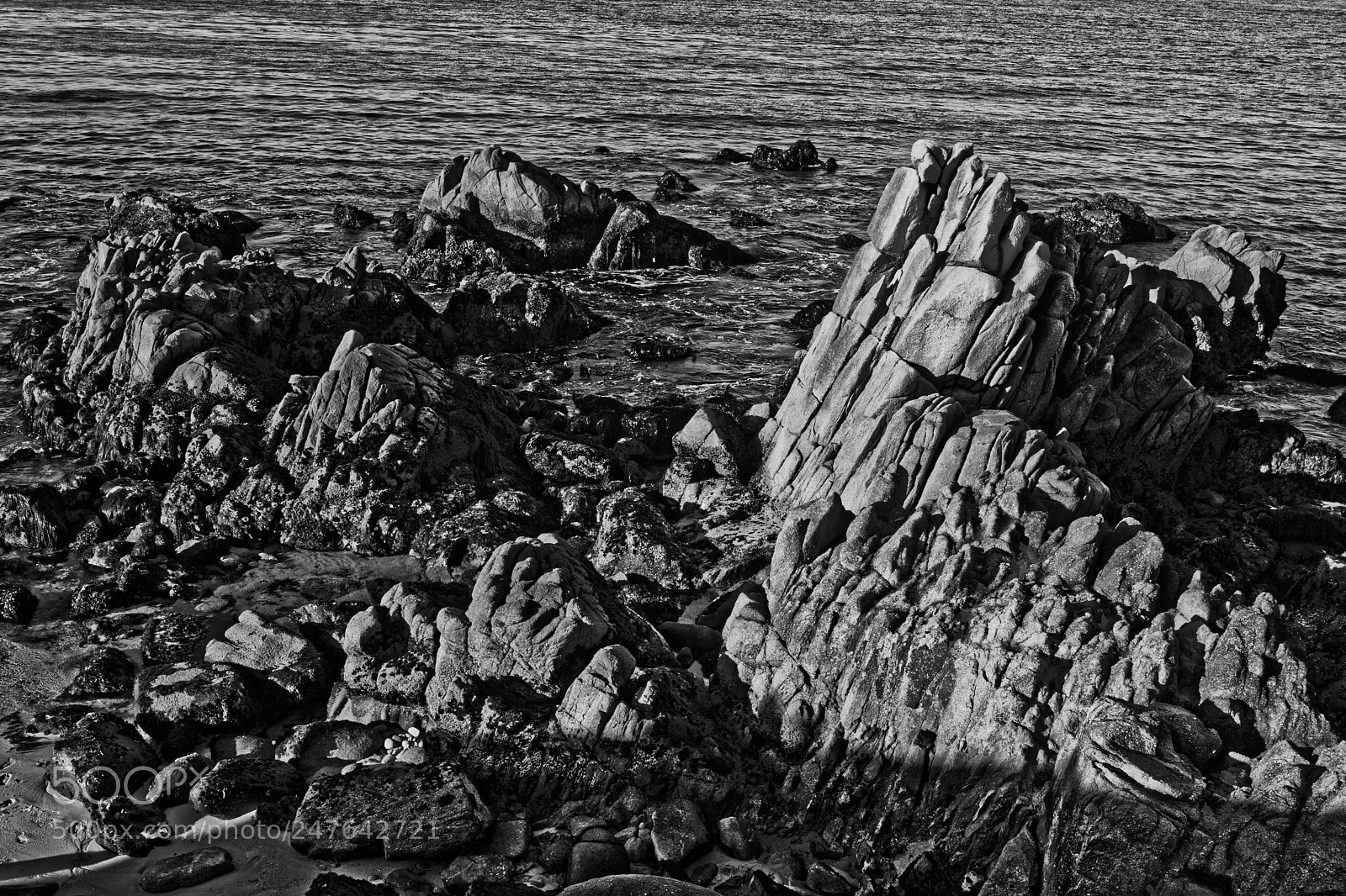 Leica M (Typ 240) sample photo. Last light- monterey photography