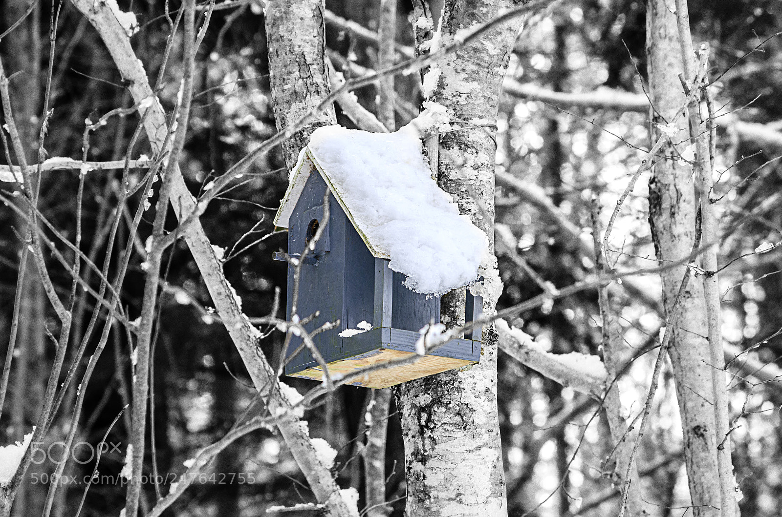 Nikon D5100 sample photo. Birdhouse photography