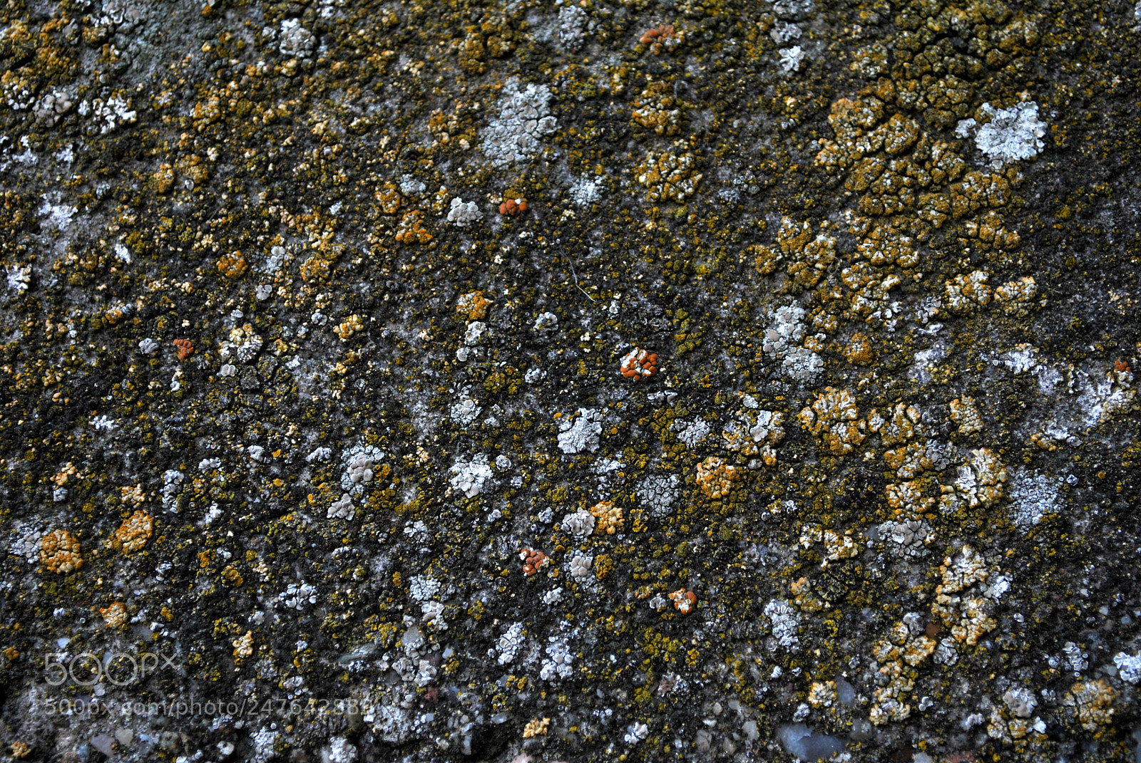 Nikon D3000 sample photo. Concrete photography