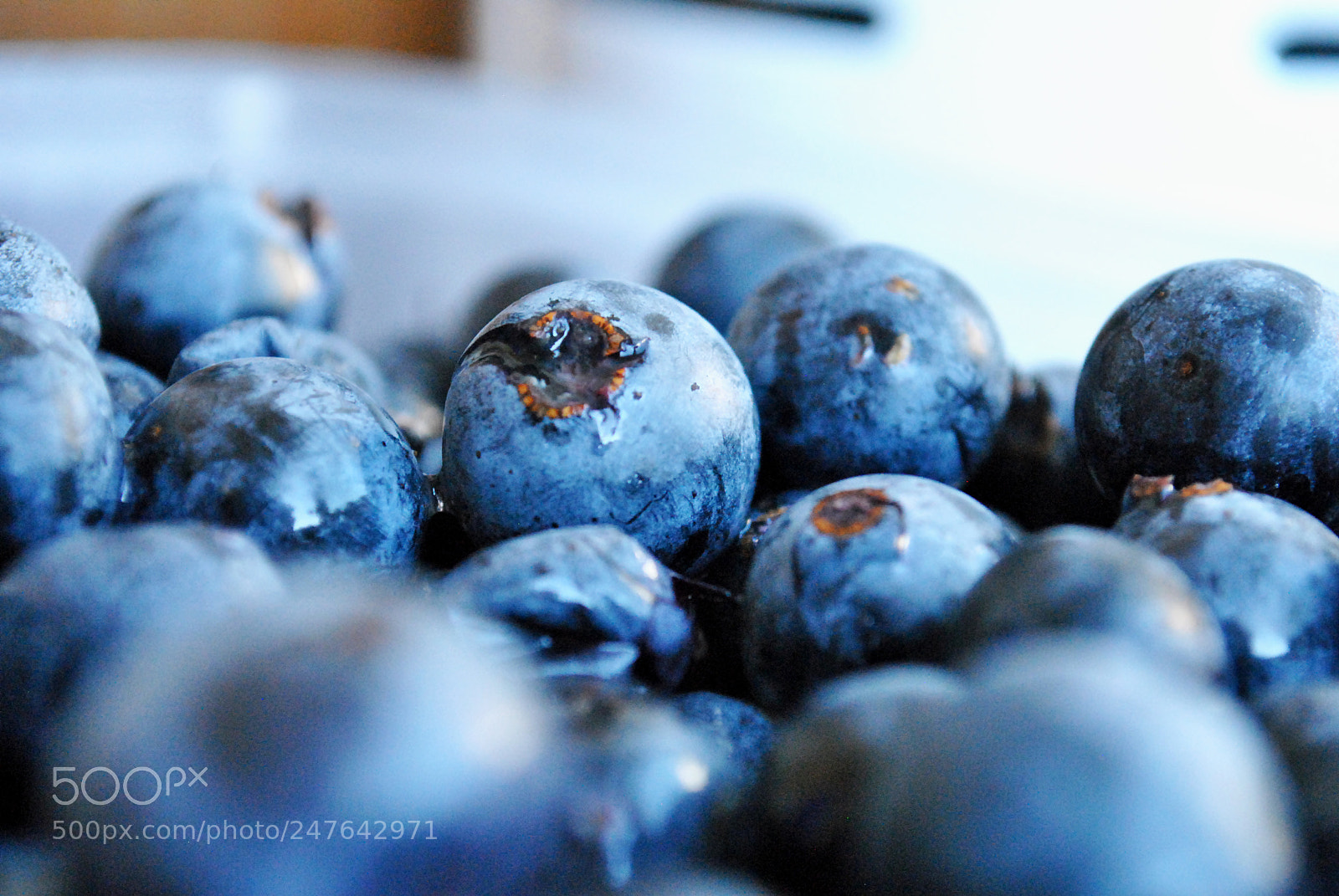 Nikon D3000 sample photo. Grozdje photography