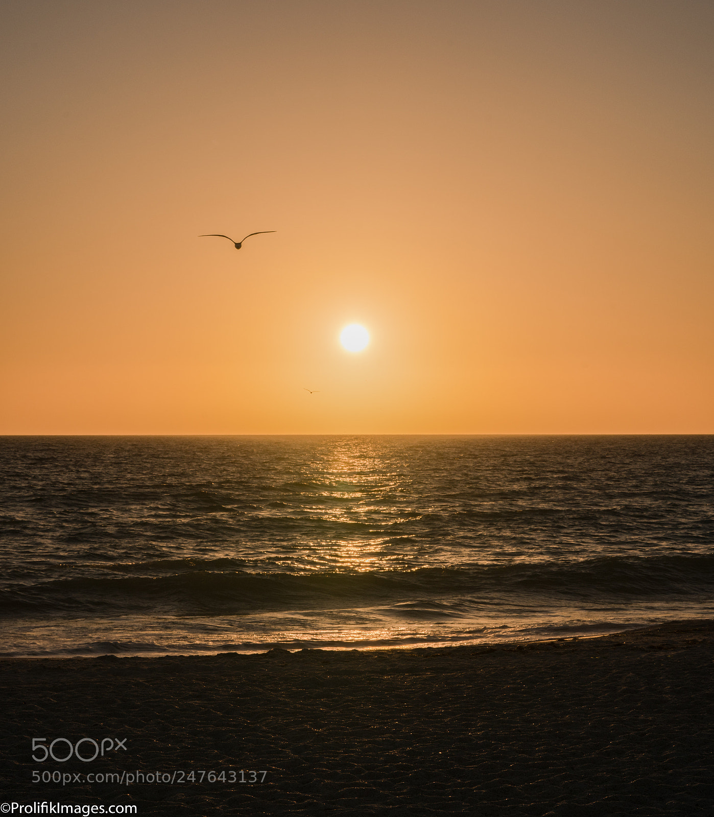 Sony a7R II sample photo. Florida photography