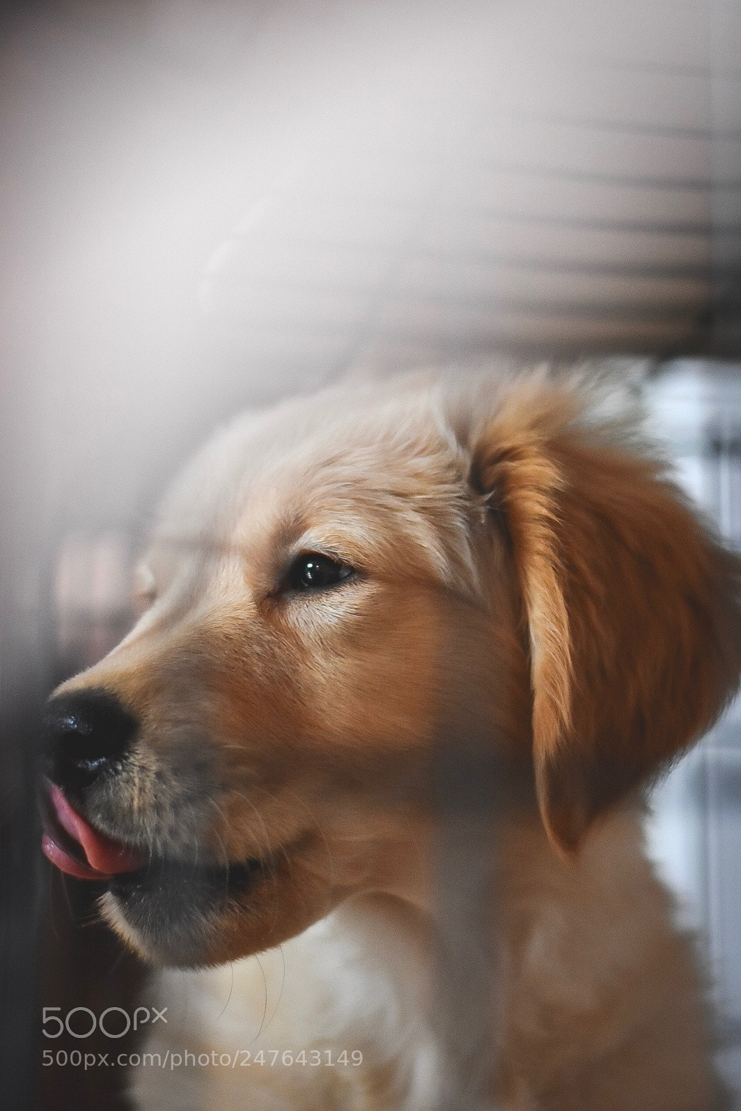 Nikon D3400 sample photo. Jax photography