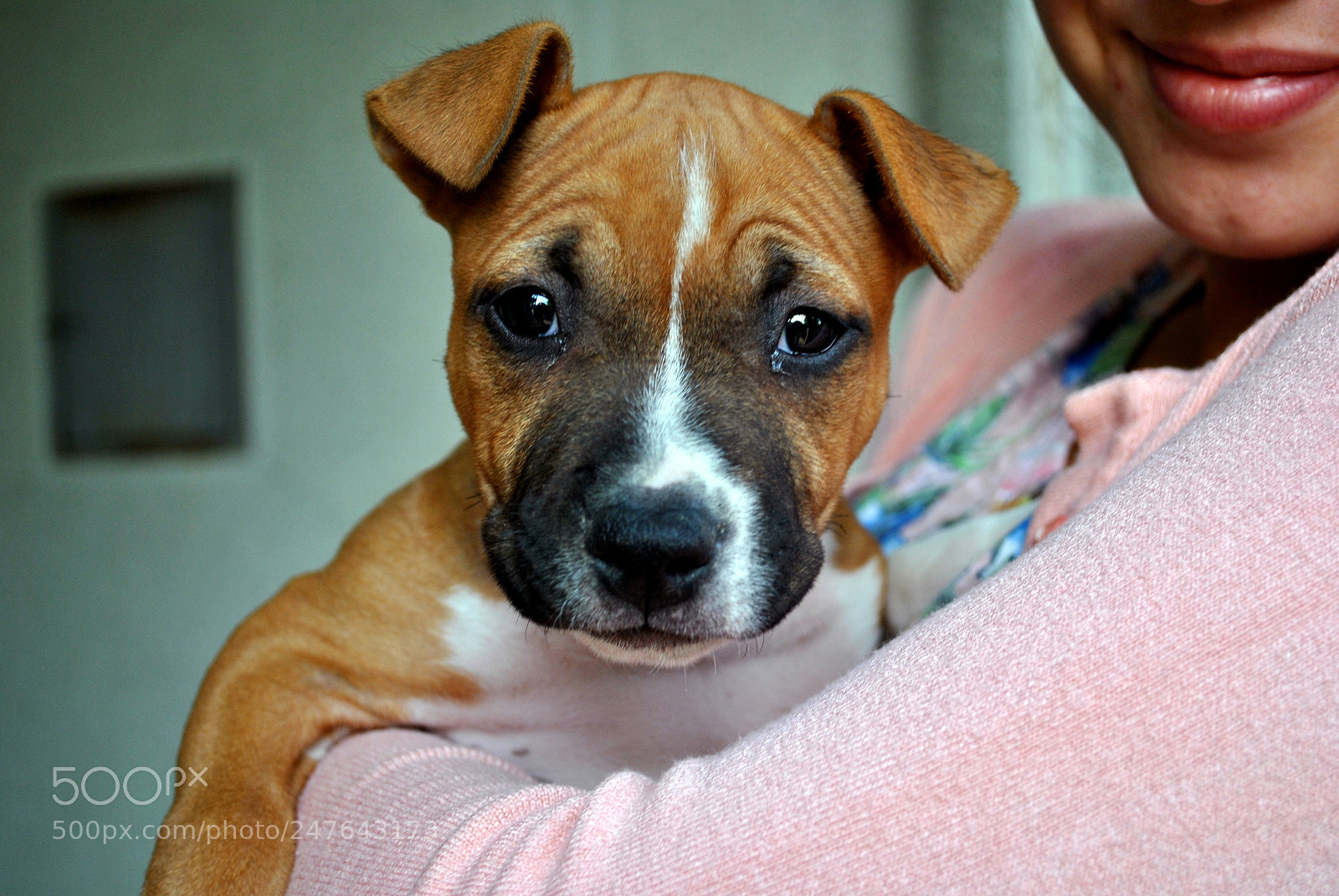 Nikon D3000 sample photo. The eyes chico, they photography