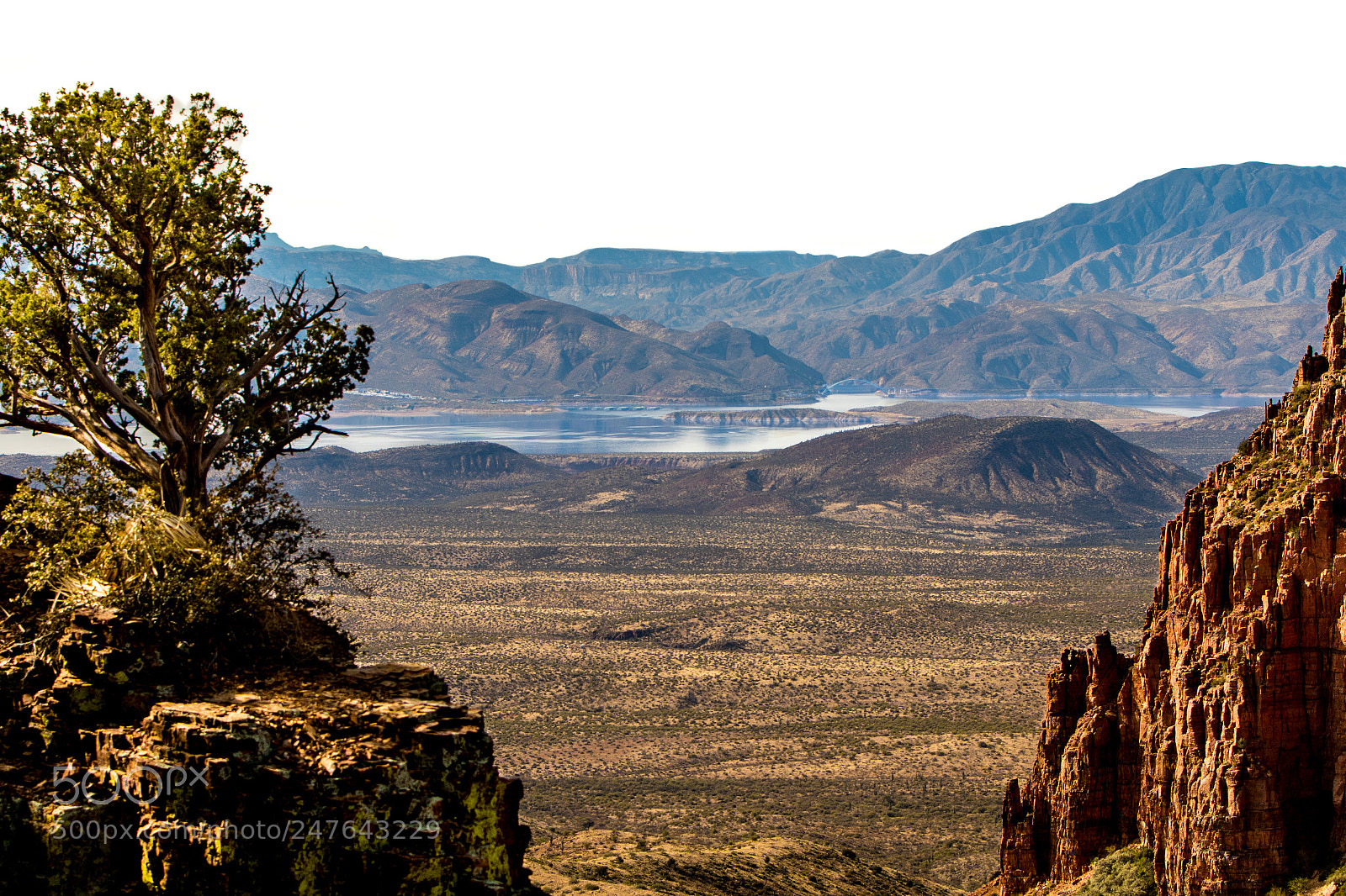 Canon EOS 7D Mark II sample photo. A view of roosevelt photography