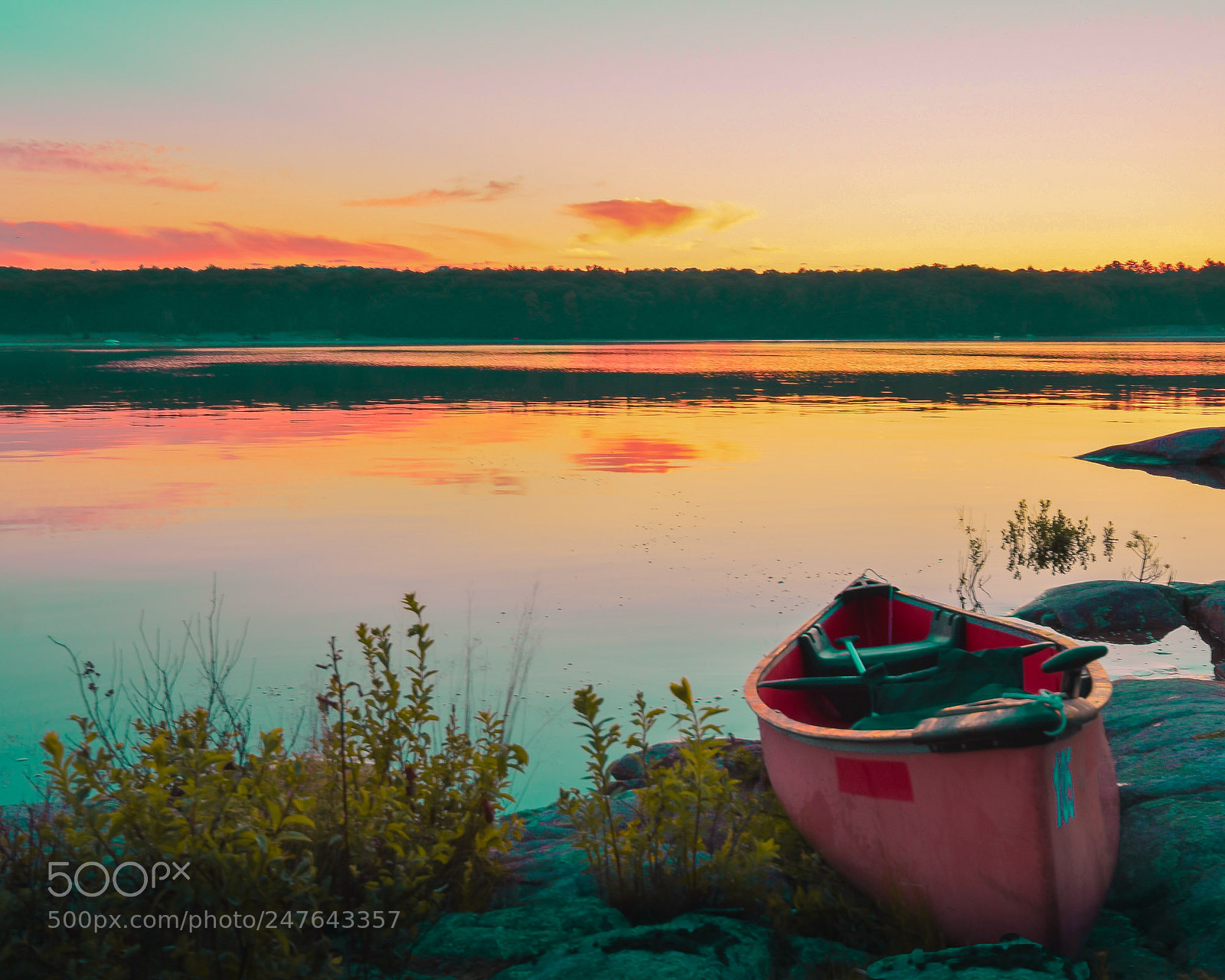 Nikon D3400 sample photo. Sunrise killbear park photography