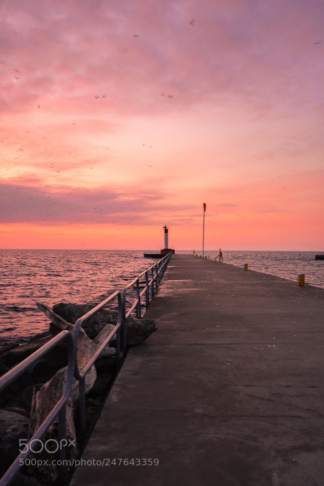 Nikon D3400 sample photo. Sunrise oakville photography