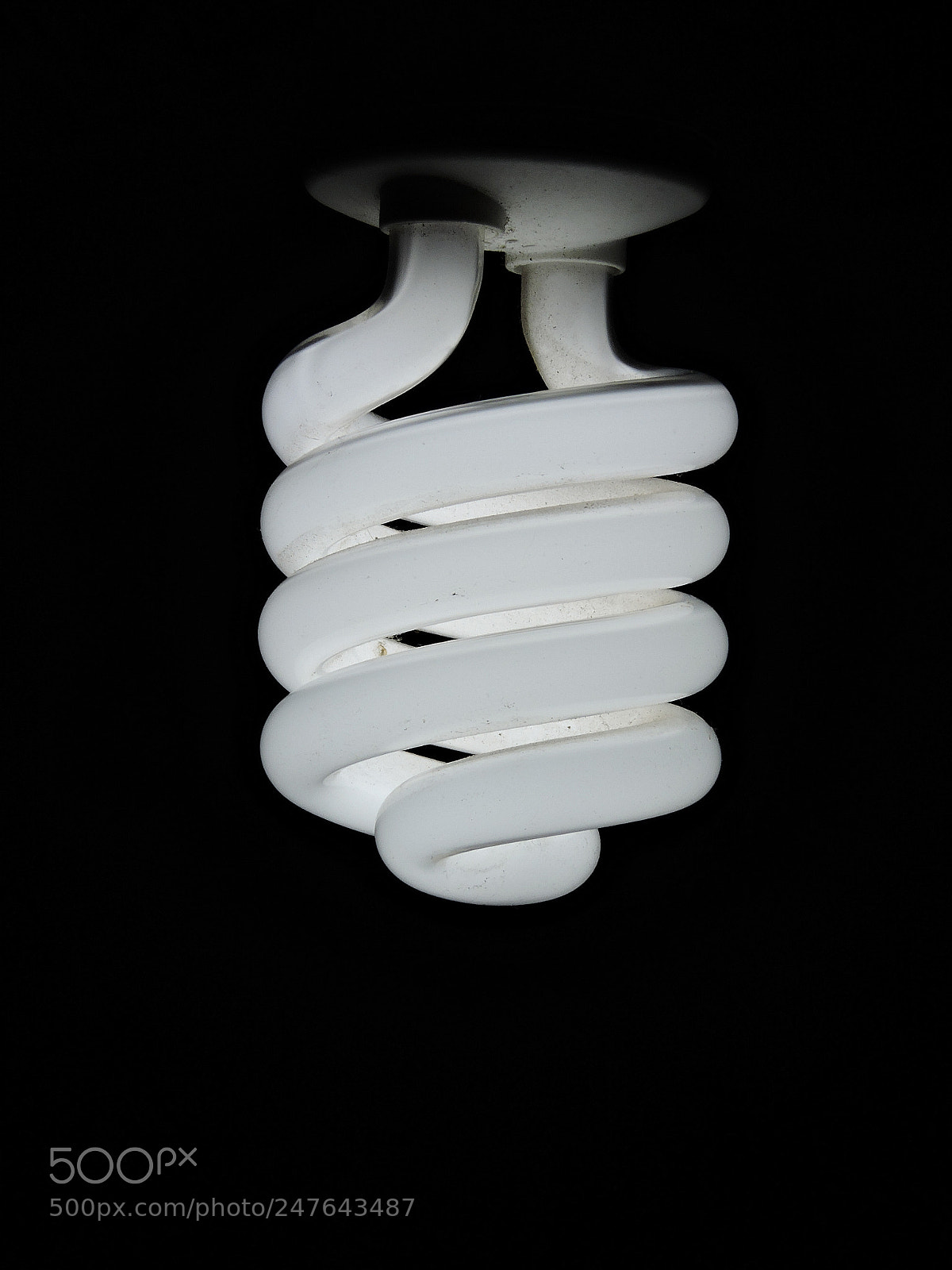 Nikon Coolpix P530 sample photo. Light photography