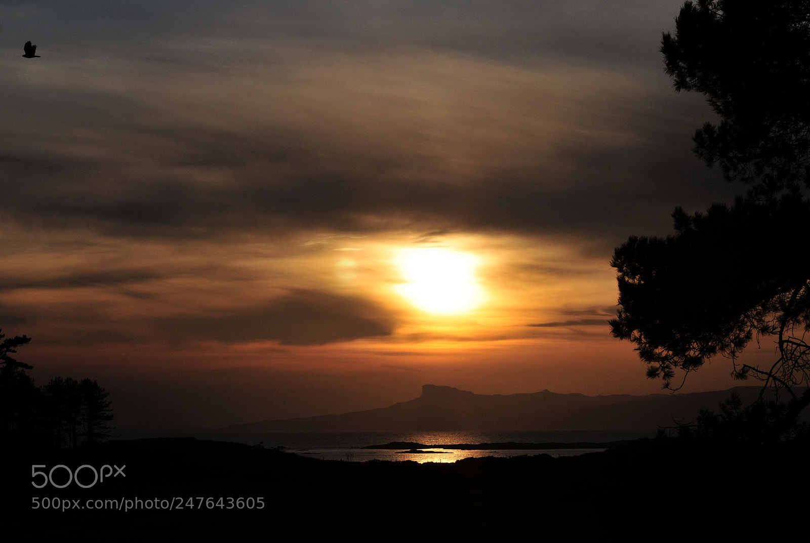 Nikon D300S sample photo. Sunset over the isle photography