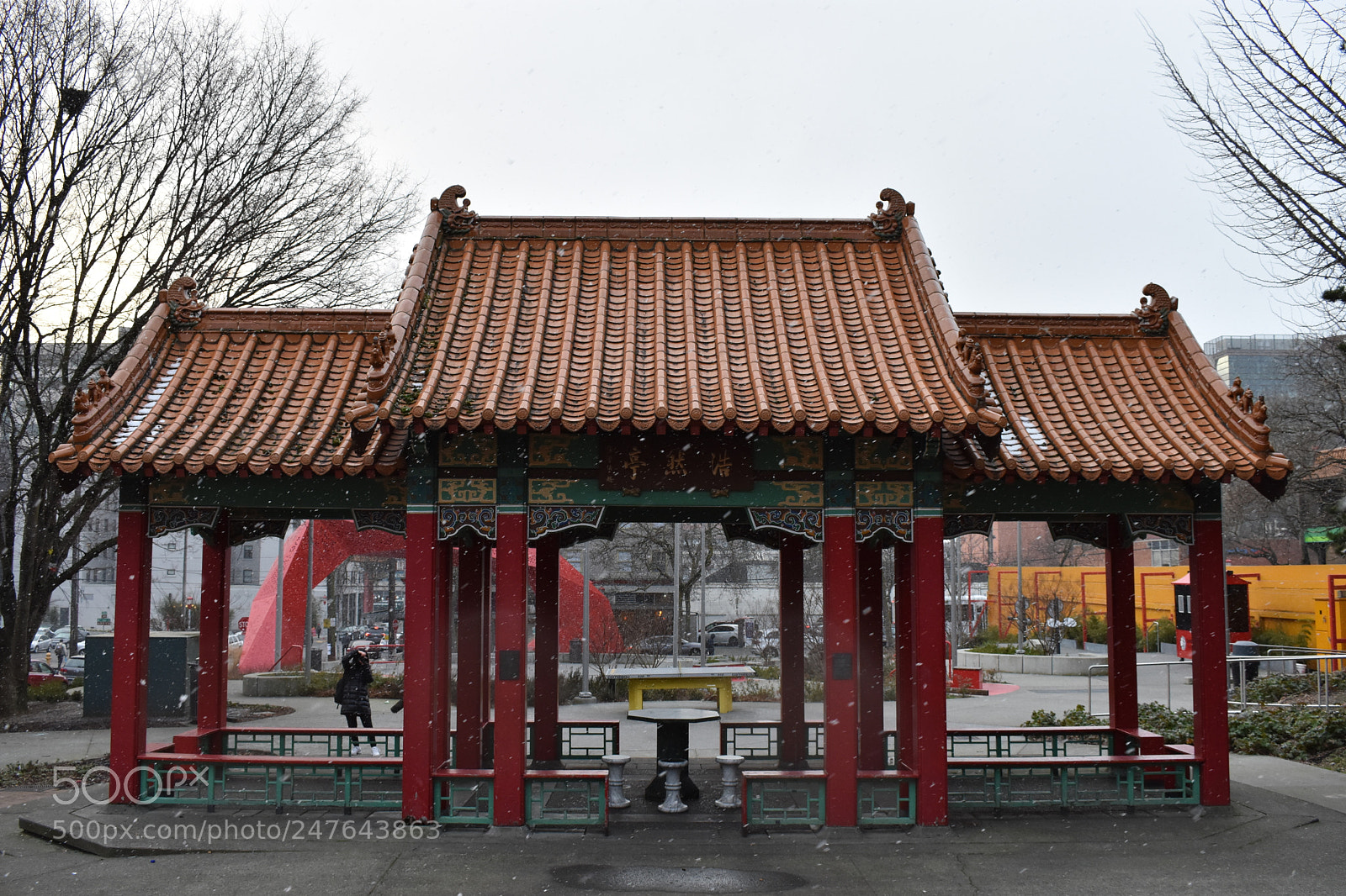 Nikon D7200 sample photo. Hing hay snow day. photography
