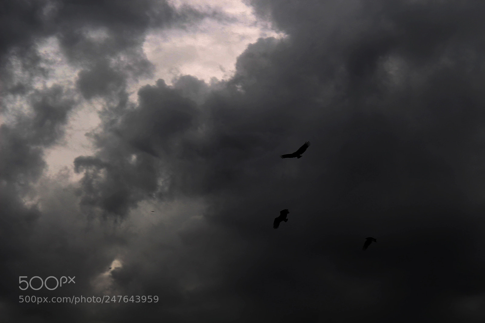Canon EOS 700D (EOS Rebel T5i / EOS Kiss X7i) sample photo. The seventh seal. photography