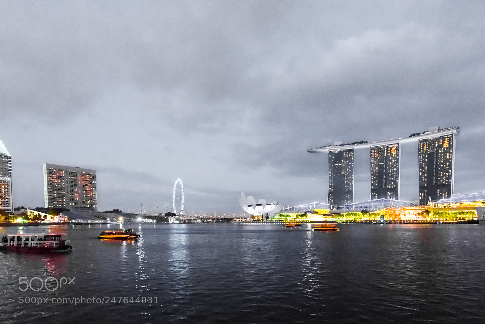 Nikon D810 sample photo. Overcast photography