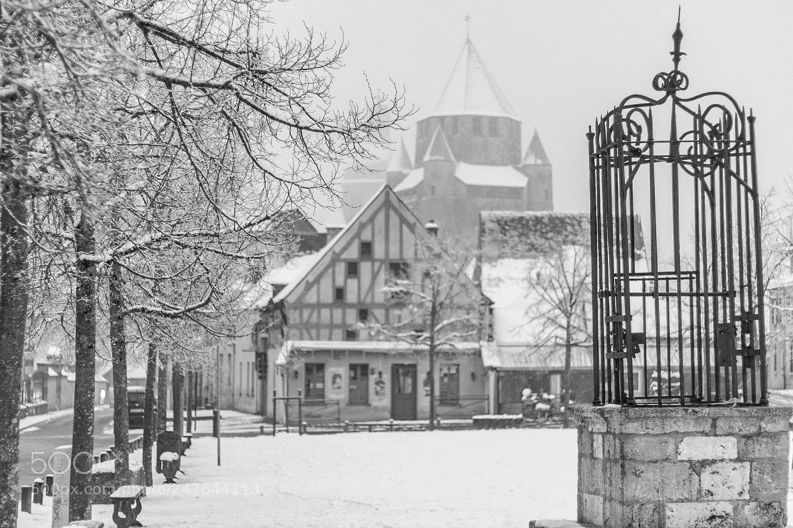 Canon EOS 700D (EOS Rebel T5i / EOS Kiss X7i) sample photo. Provins suis la neige photography