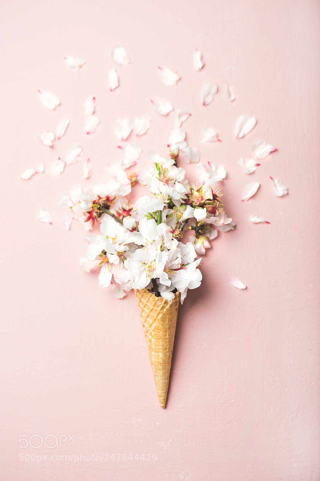 Nikon D610 sample photo. Waffle cone with white photography