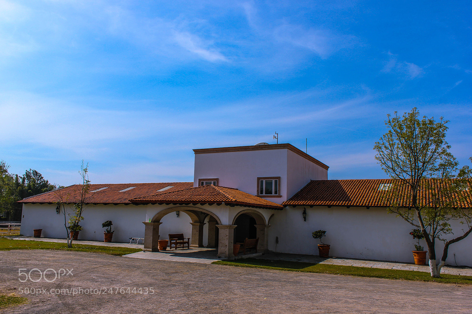 Canon EOS 550D (EOS Rebel T2i / EOS Kiss X4) sample photo. Rancho los 3 potrillos photography