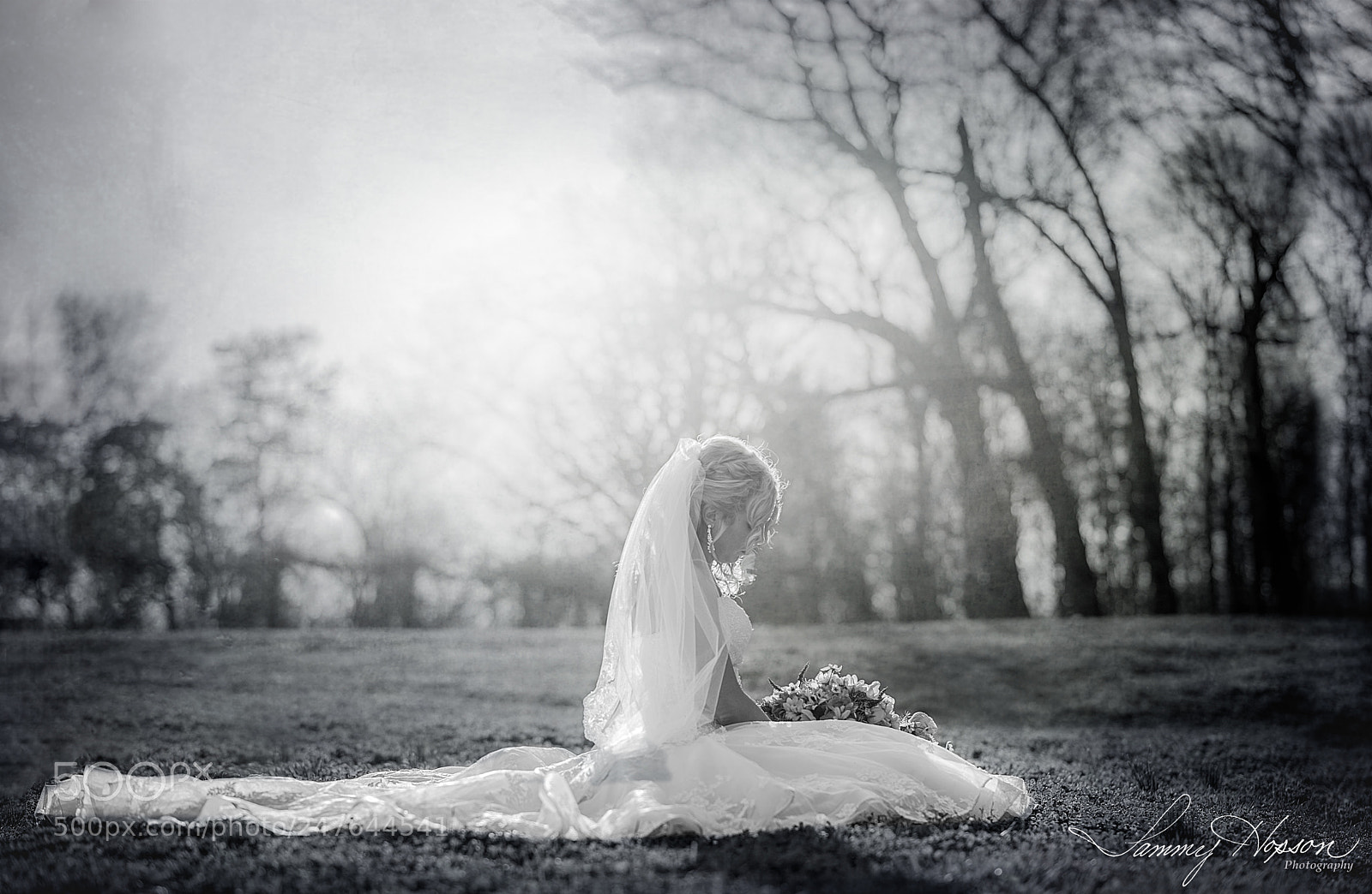 Nikon D800 sample photo. "becoming" photography