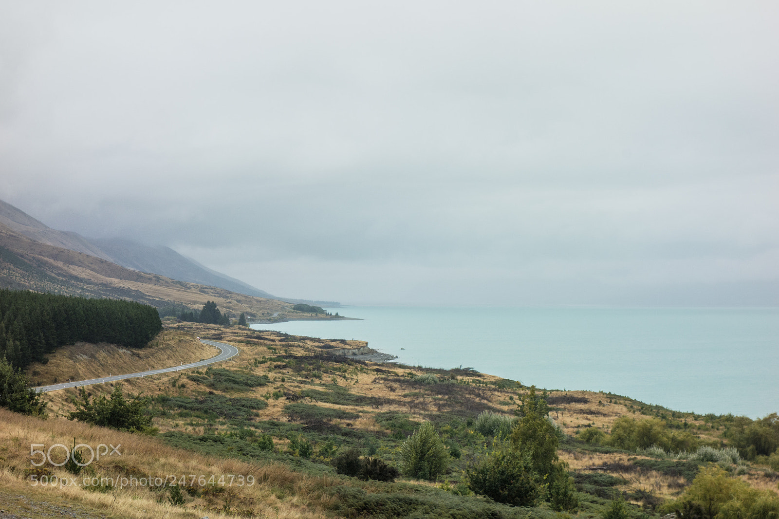Sony Cyber-shot DSC-RX100 sample photo. Grey pukaki photography