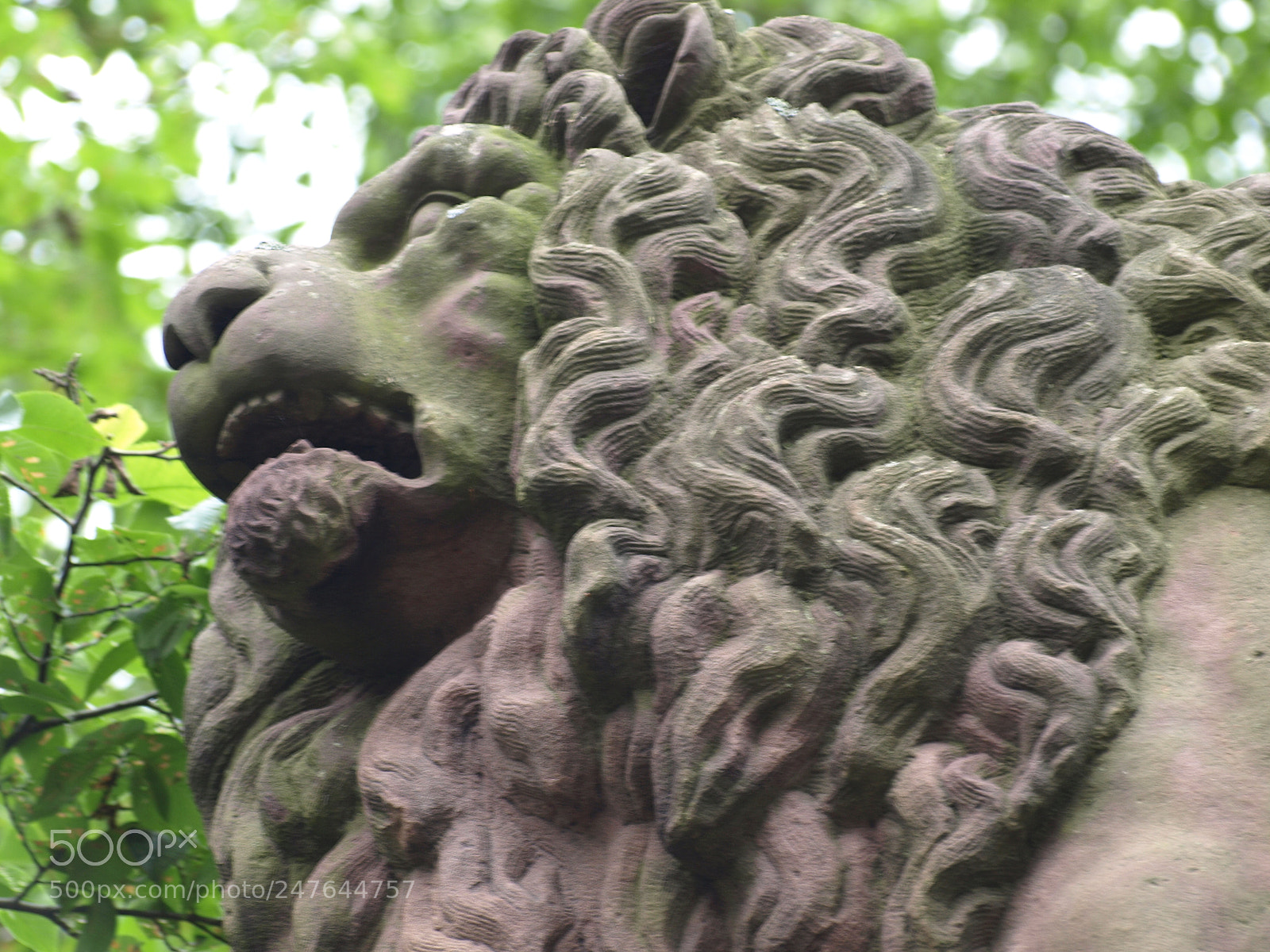 Olympus E-510 (EVOLT E-510) sample photo. This is halifax photography
