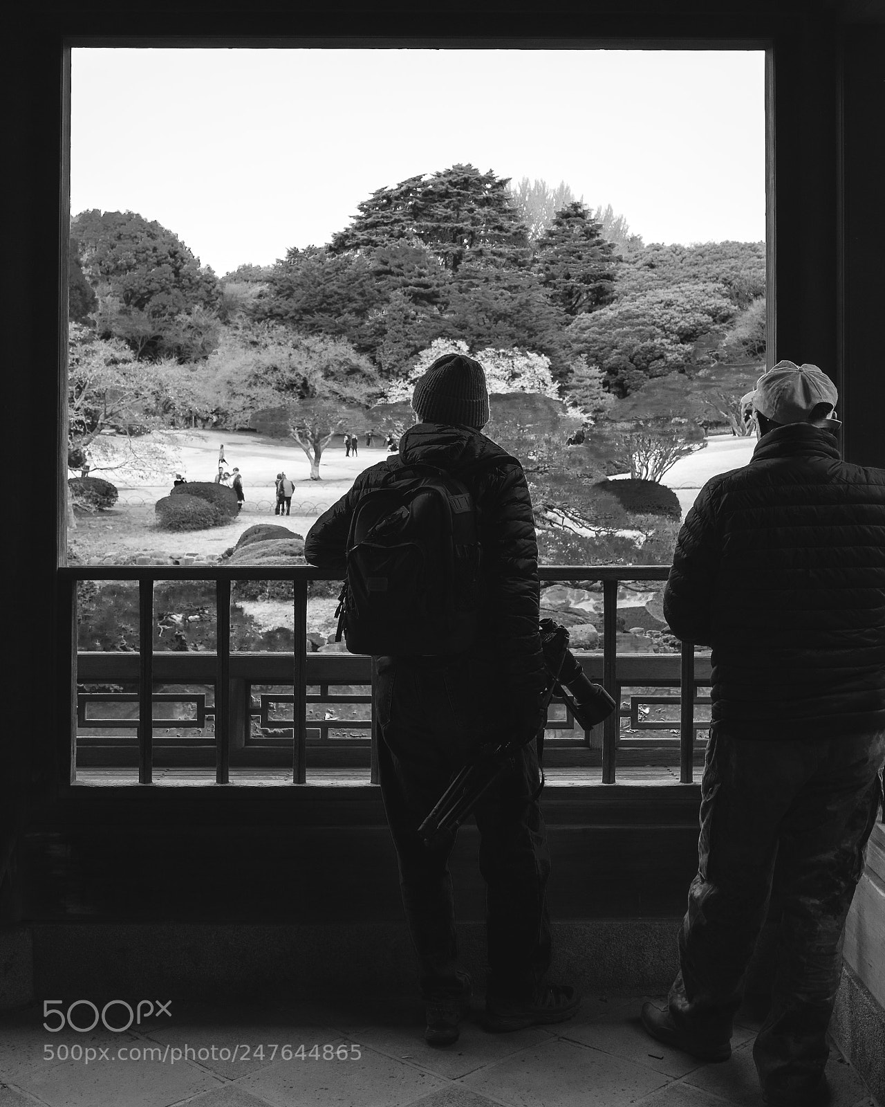 Canon EOS 80D sample photo. The waiting game photography