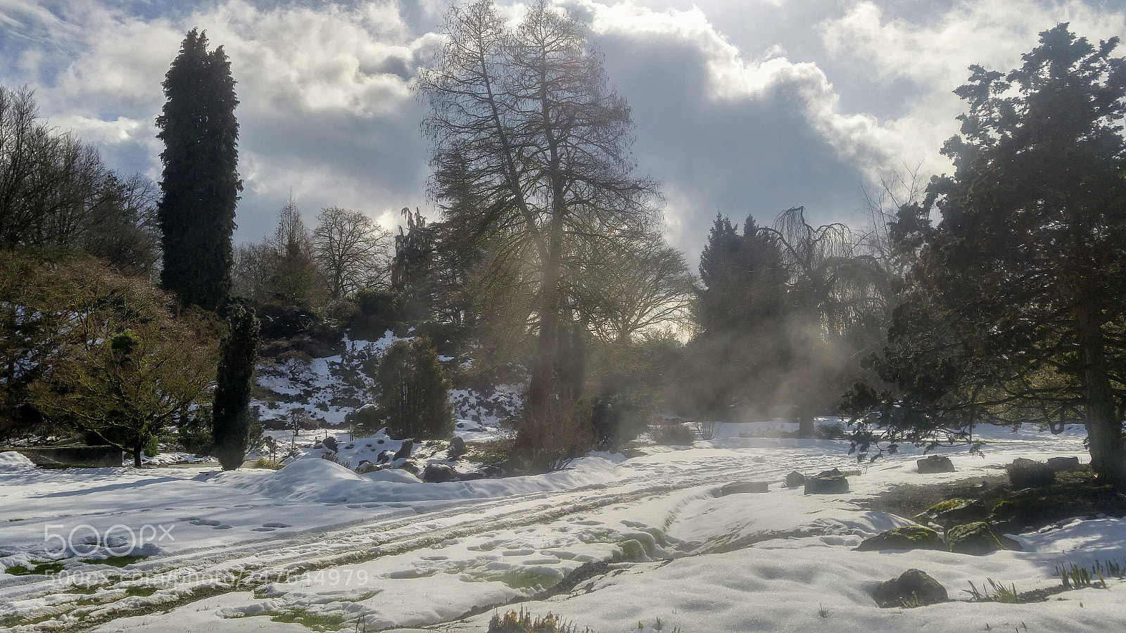 LG G4 sample photo. The mist is rising photography