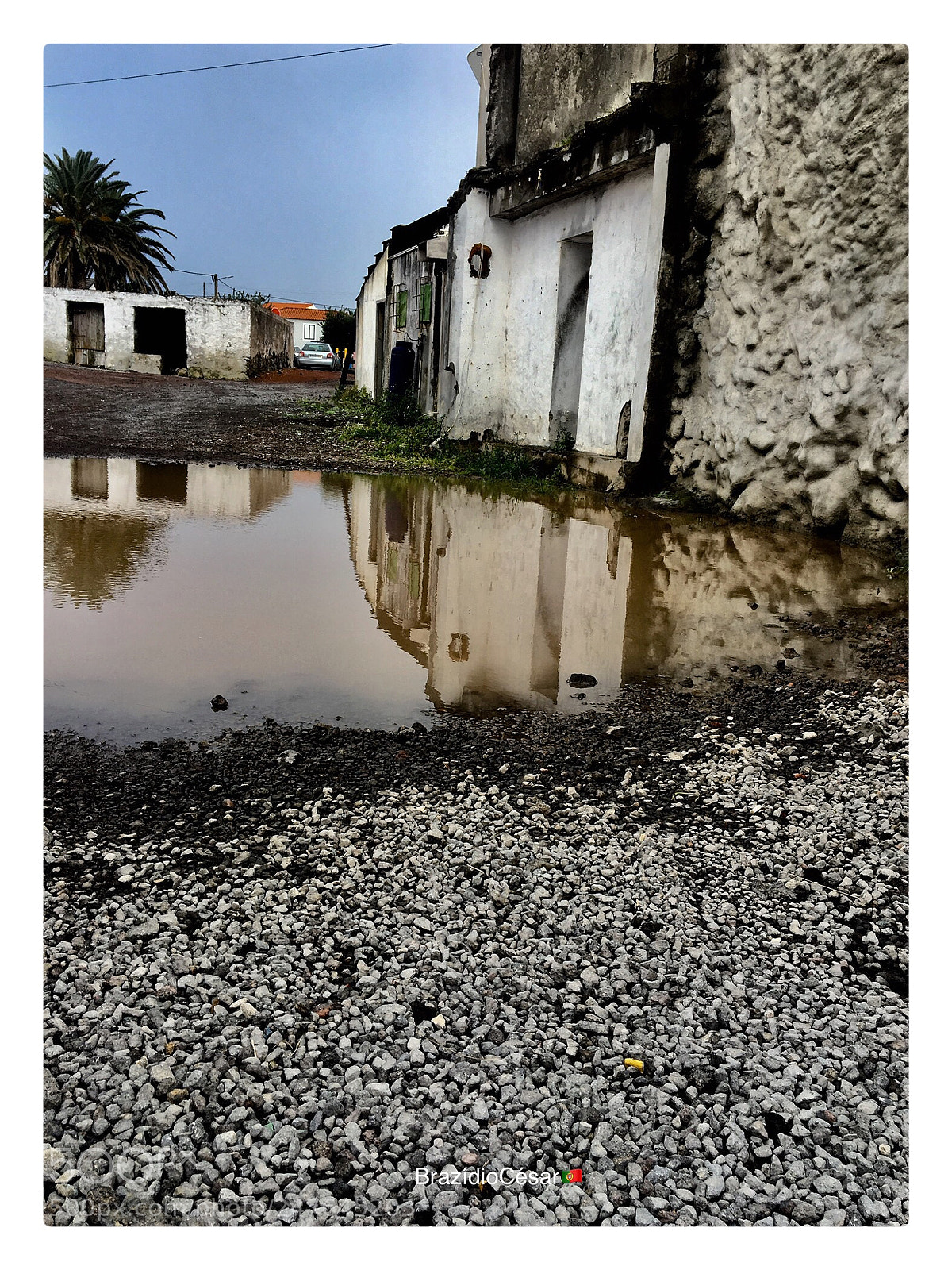 Apple iPhone 6s sample photo. Untitled photography
