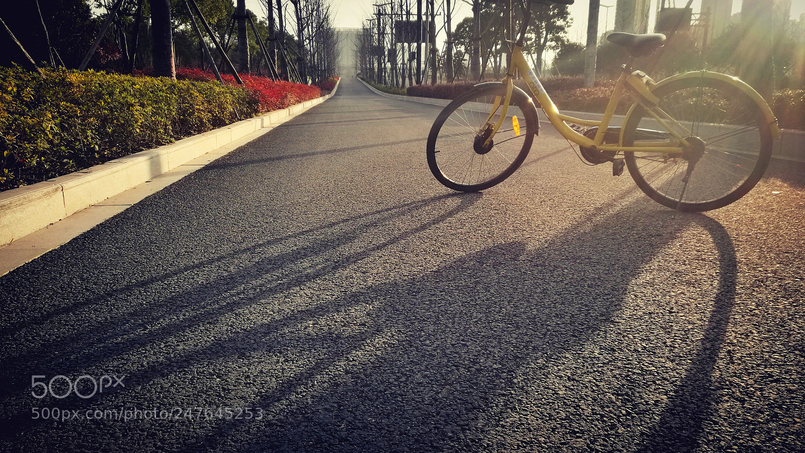 HUAWEI Mate 8 sample photo. 道路 photography