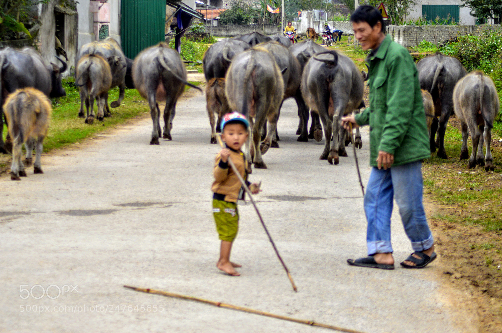 Nikon D3200 sample photo. Nghệ an vietnam photography