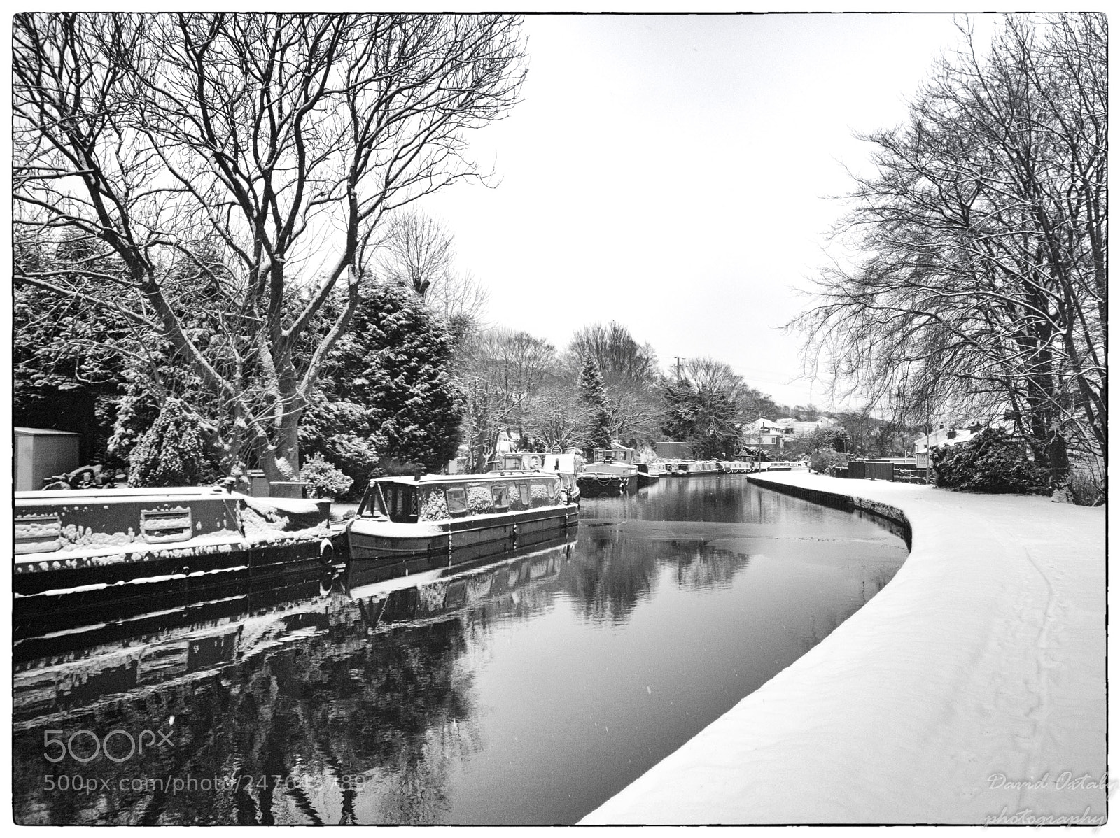 HUAWEI Mate 10 Pro sample photo. A cold morning on photography