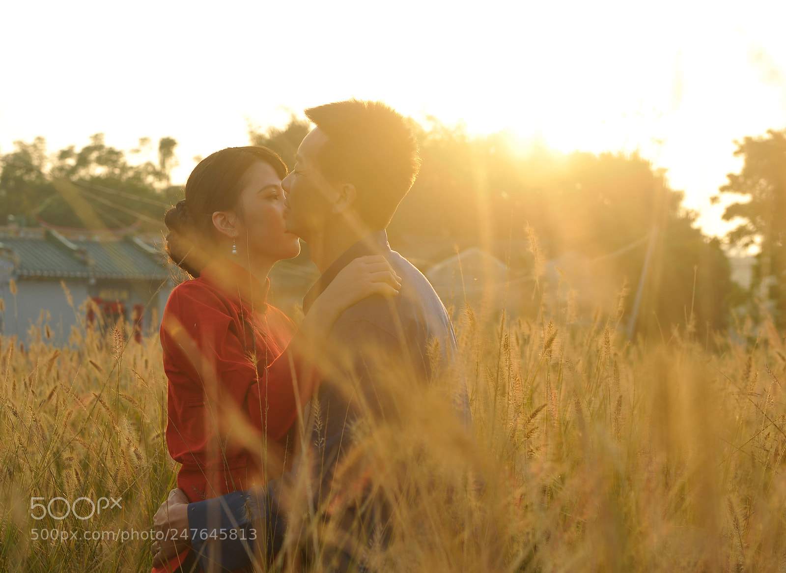 Nikon D700 sample photo. 故事的结尾 photography