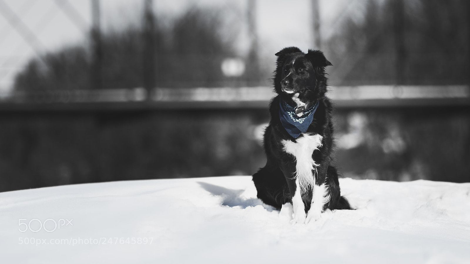 Canon EOS 6D Mark II sample photo. Snickers at palisades state photography