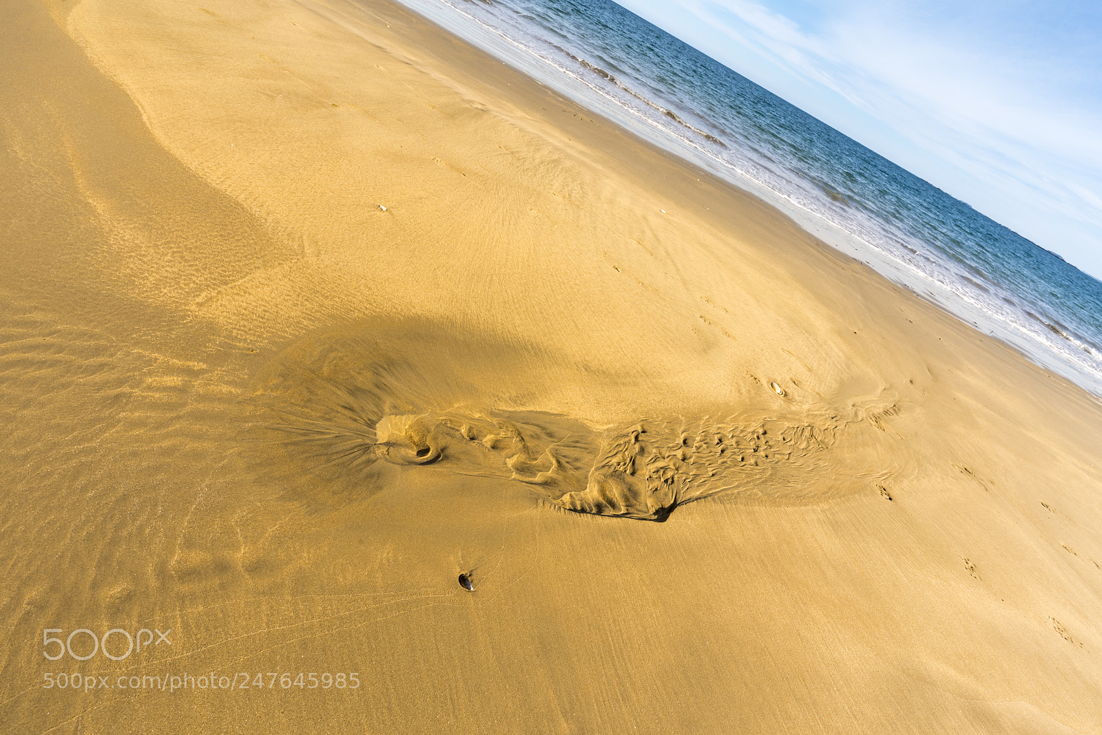 Nikon D810 sample photo. Design photography