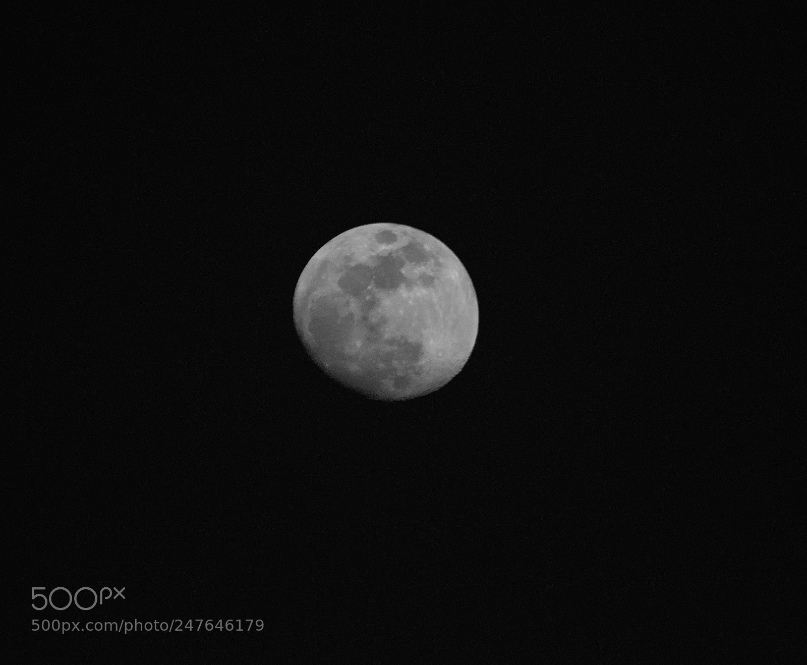 Nikon D500 sample photo. Moonshot photography