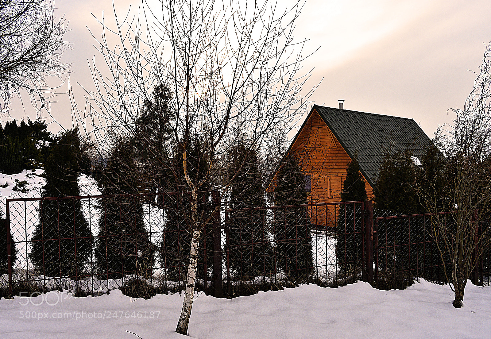 Nikon D3400 sample photo. Winter serenity photography