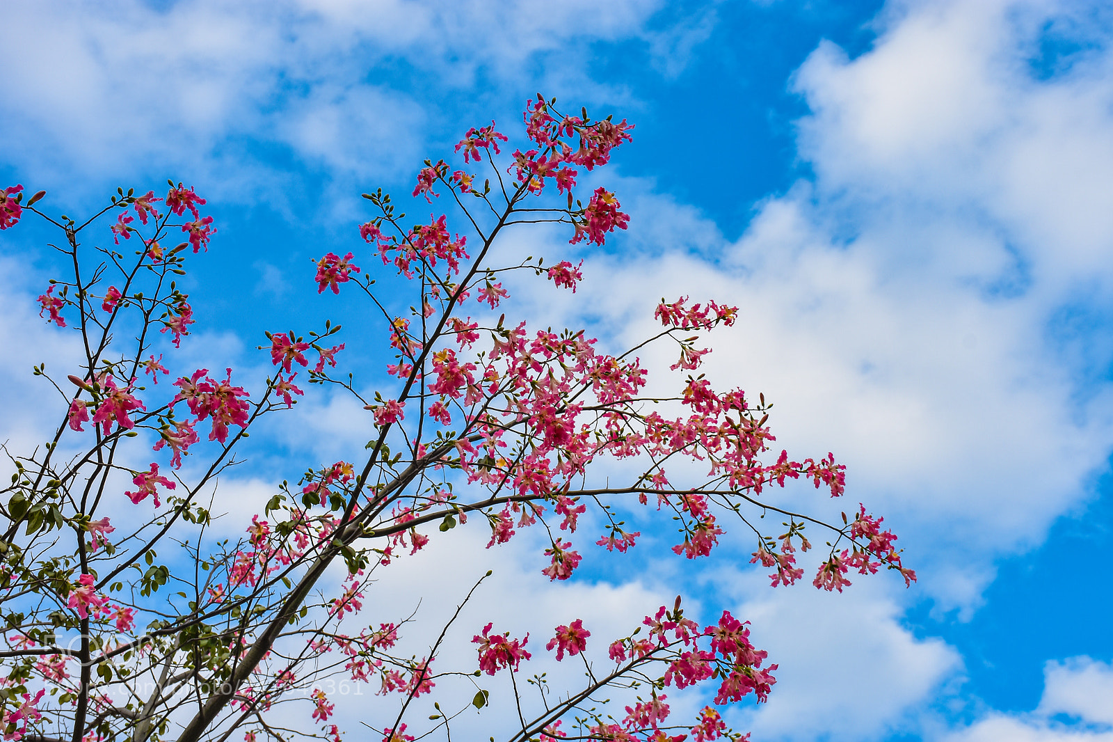 Nikon D7200 sample photo. 蓝天白云 photography