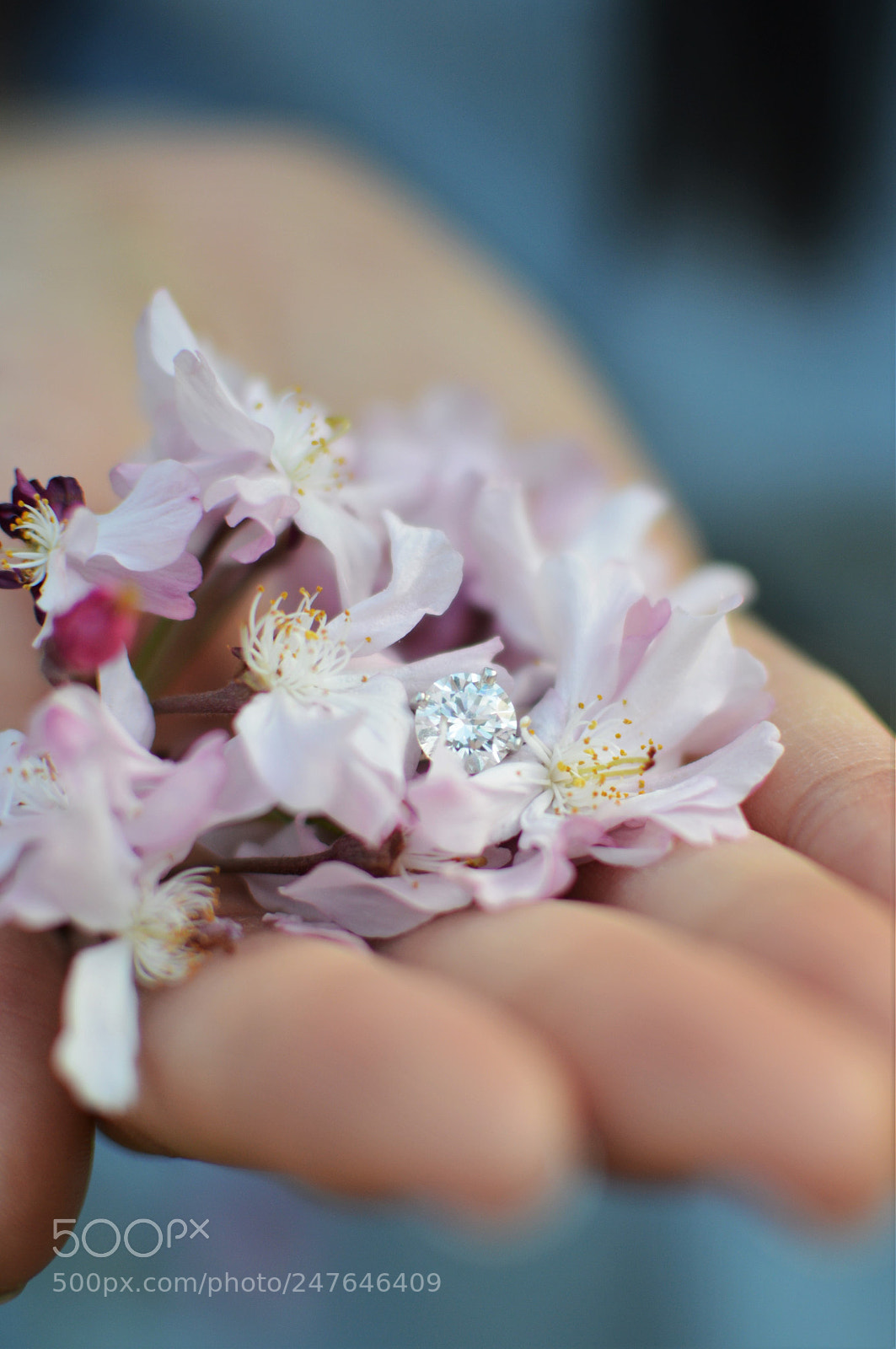 Nikon D3200 + Nikon AF-S DX Nikkor 35mm F1.8G sample photo. Dsc photography
