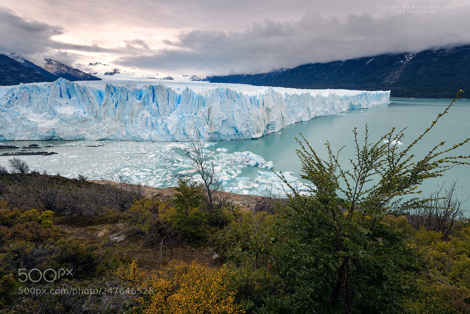 Nikon D810 sample photo. Glaciar perito moreno photography