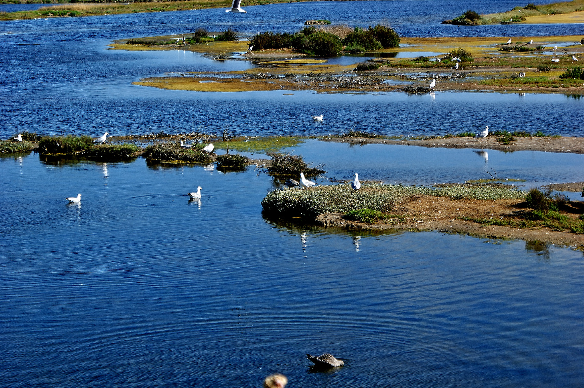 Sony DT 18-70mm F3.5-5.6 sample photo. Marais salants photography