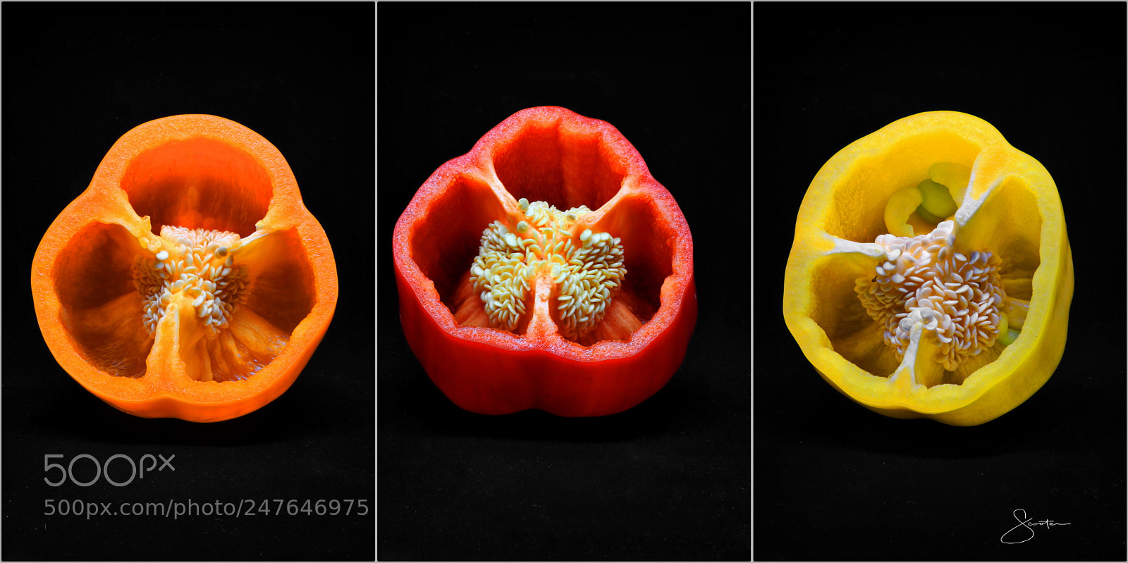 Canon EOS 7D Mark II sample photo. Food art photography