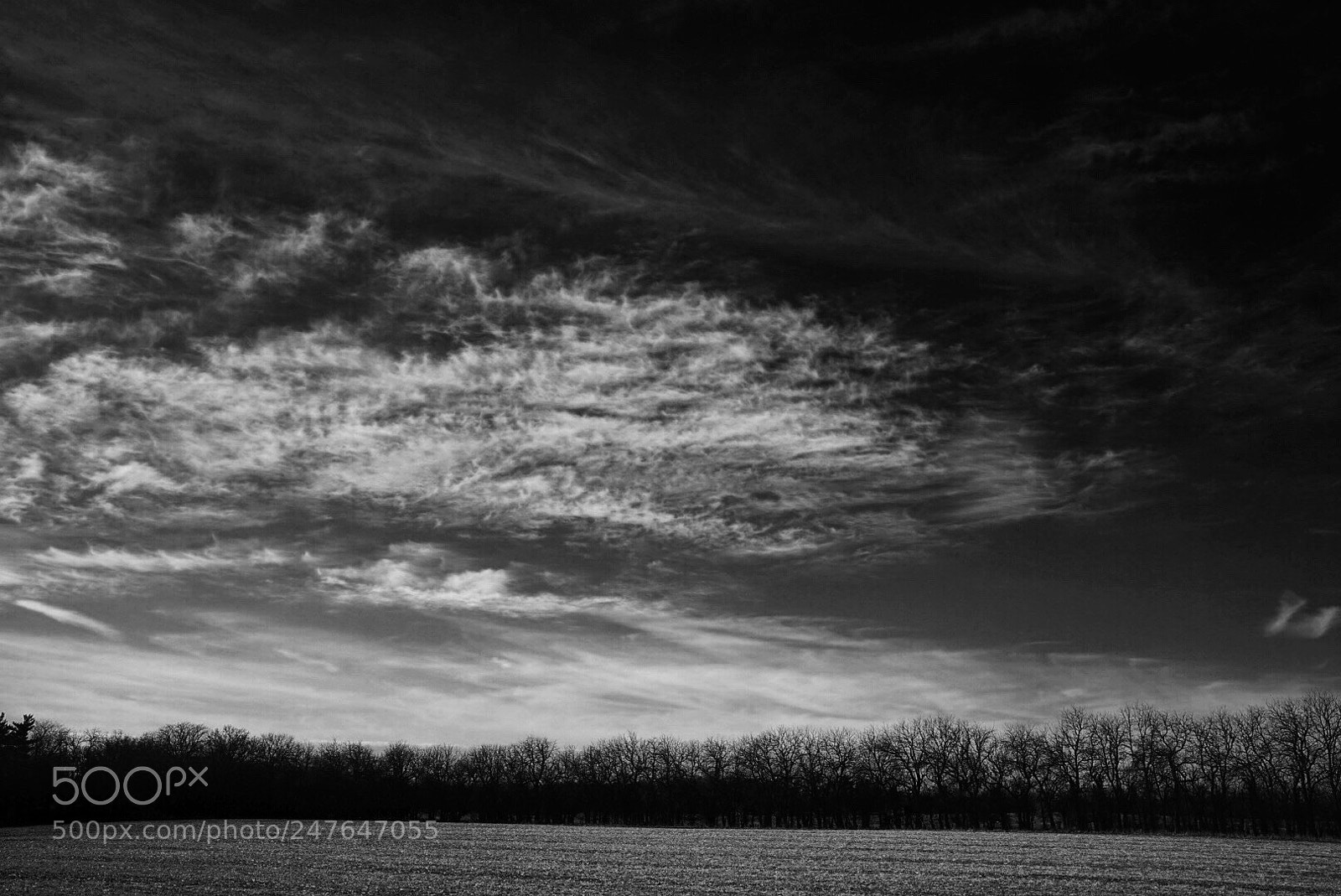 Sony a7 II sample photo. Windswept fields photography