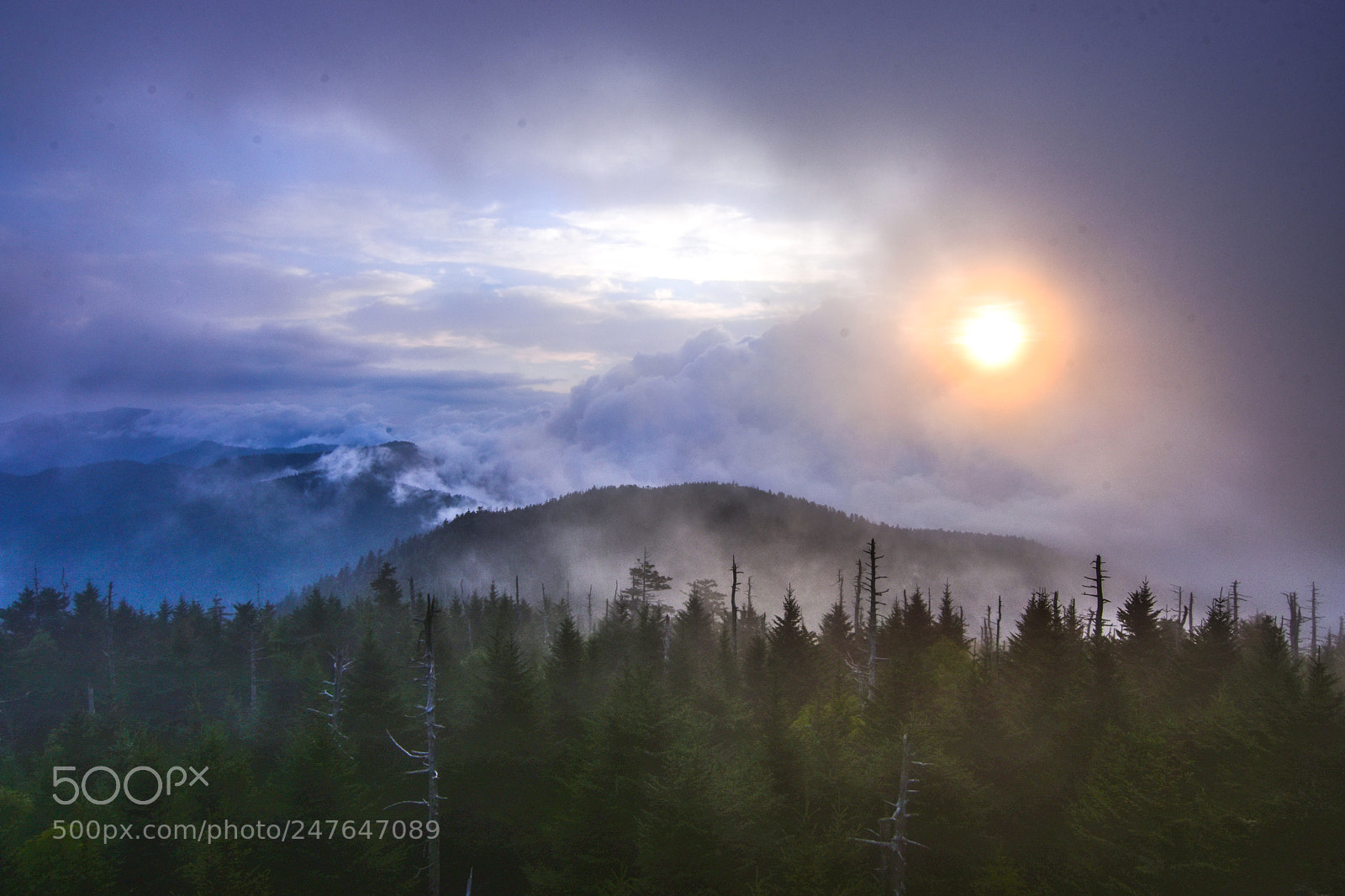 Nikon D7200 sample photo. Misty morning photography