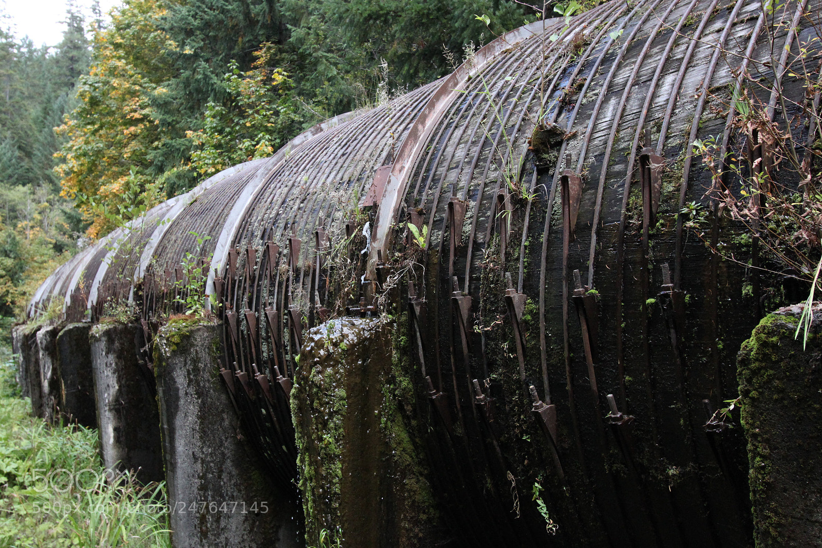 Canon EOS 500D (EOS Rebel T1i / EOS Kiss X3) sample photo. Aqueduct photography